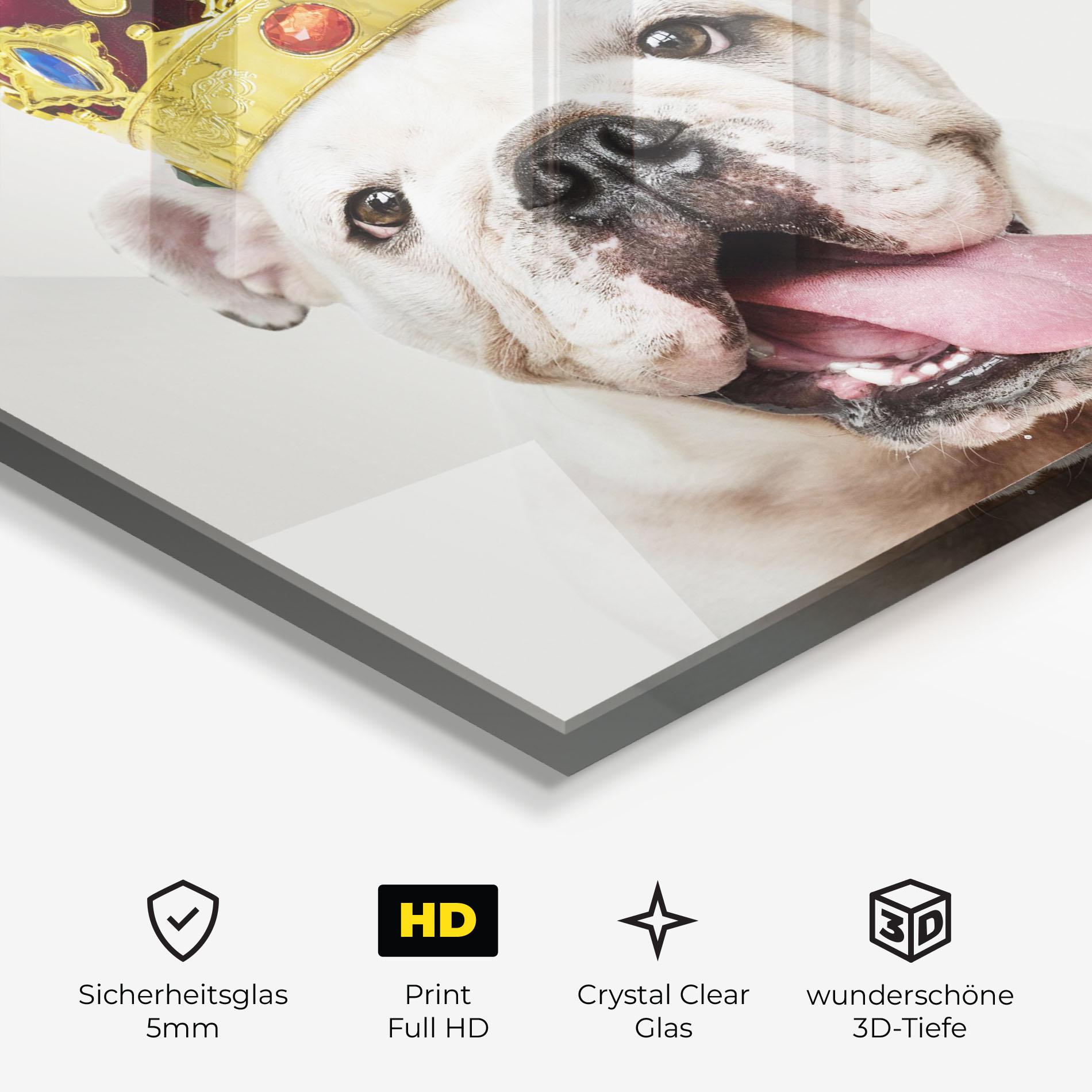 Glasbild Bulldog Wearing Crown mockup 3