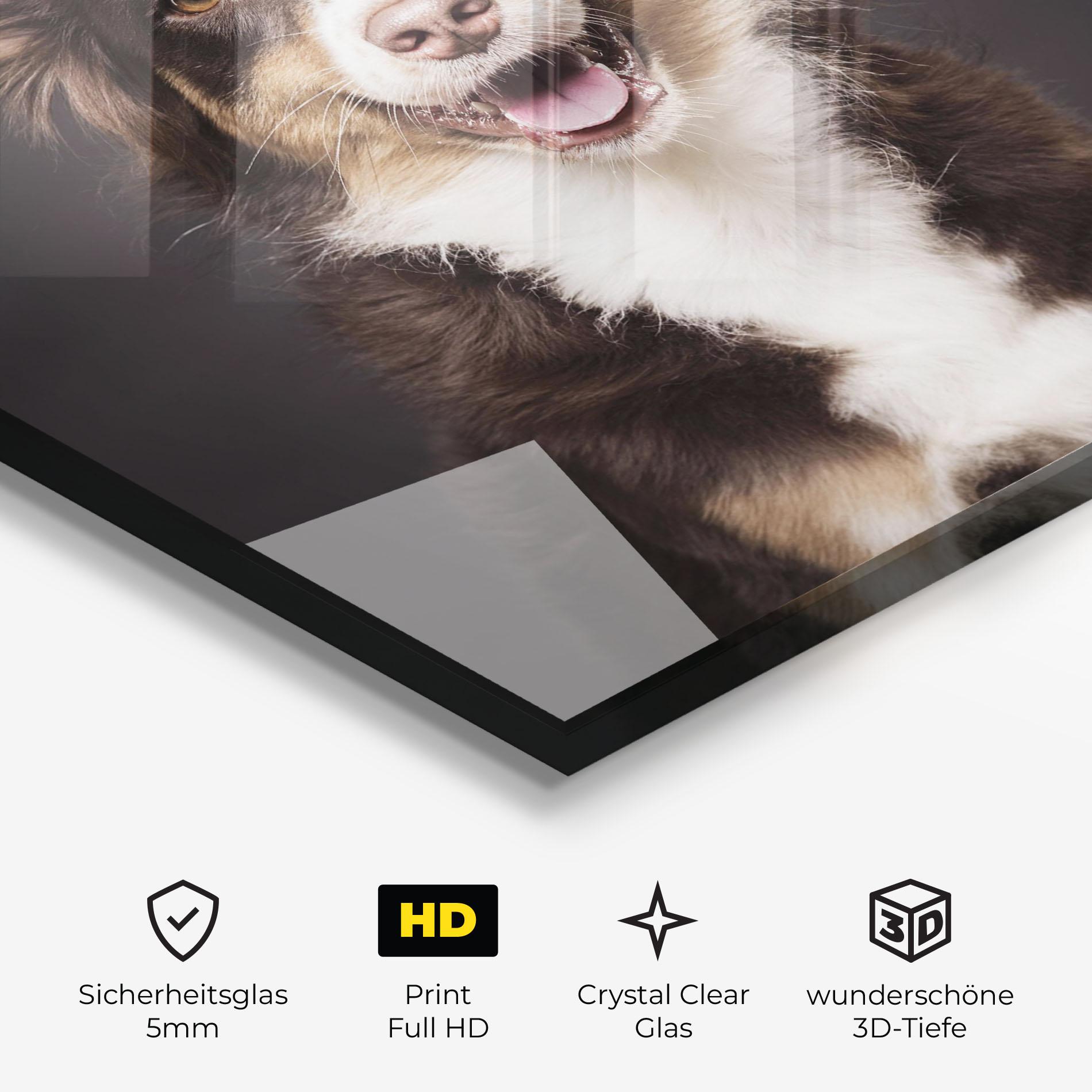 Glasbild Cute Dog Sitting mockup 3