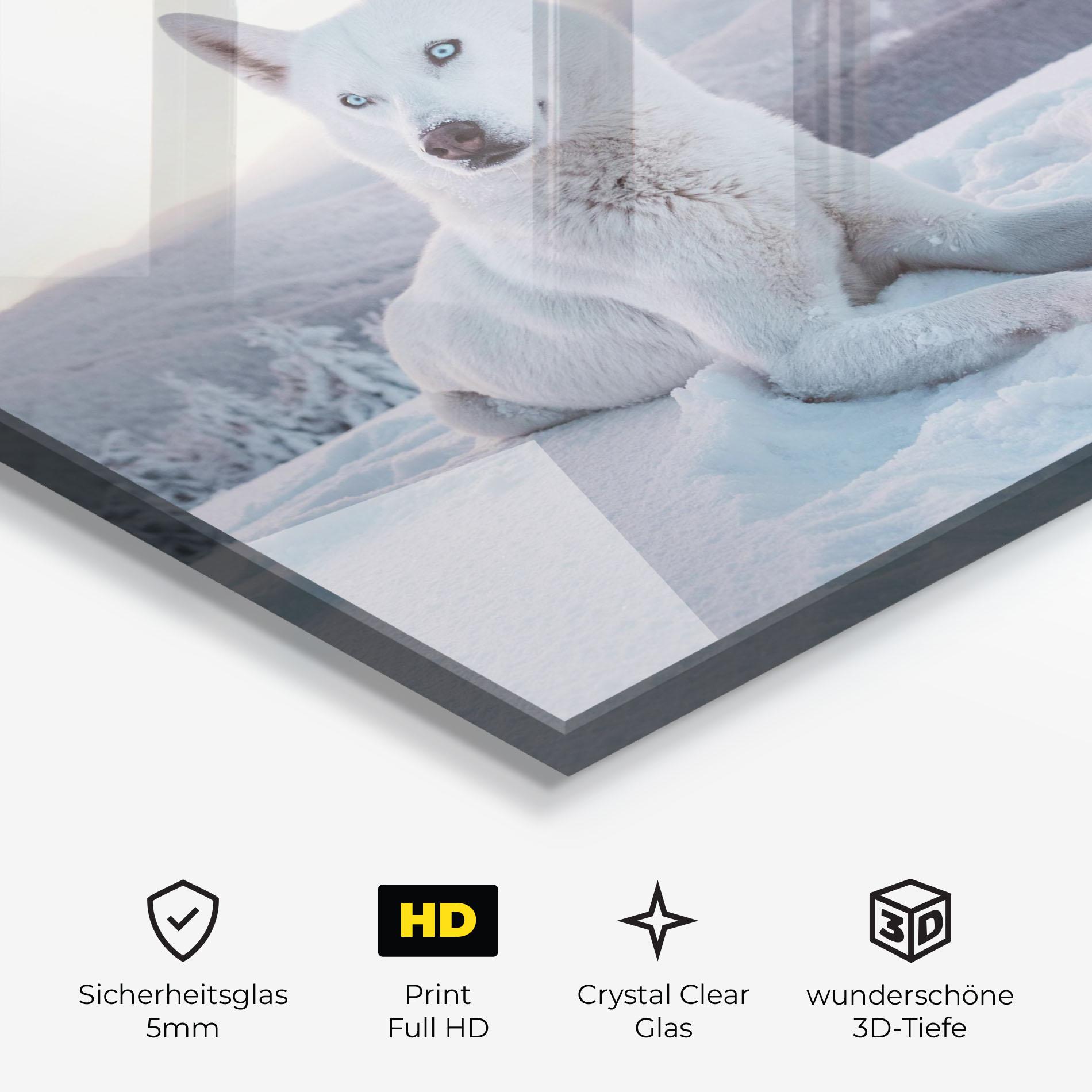 Glasbild White Husky mockup 3