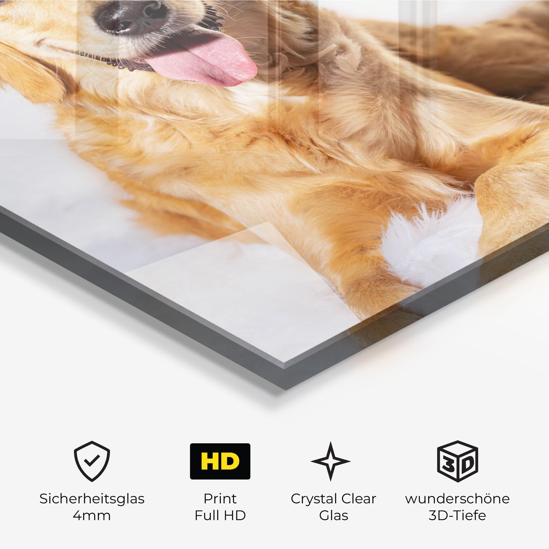 Glasbild Beautiful Gold Dog mockup 3