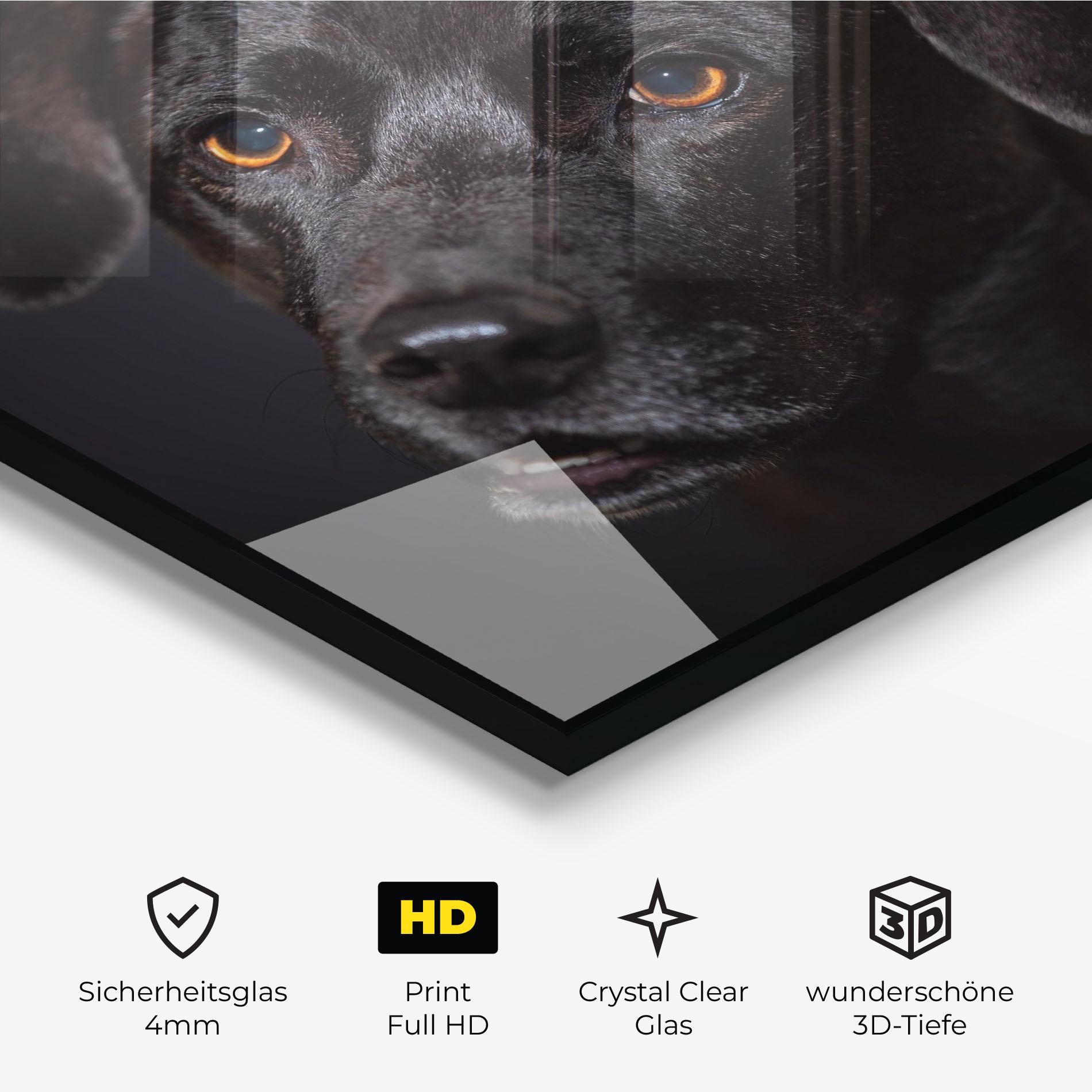Glasbild Black Dog Portrait mockup 3
