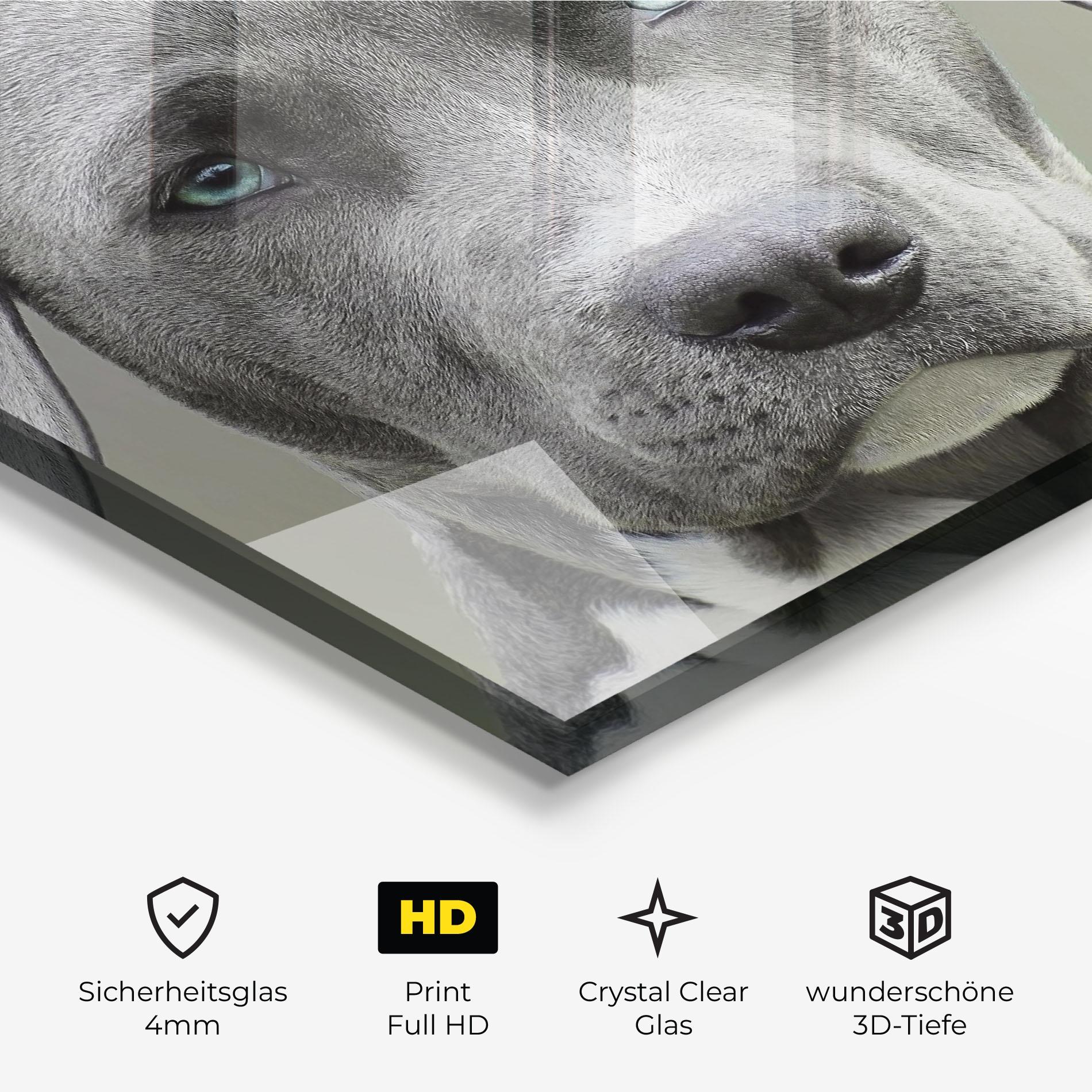 Glasbild Blue Eyes Dog mockup 3