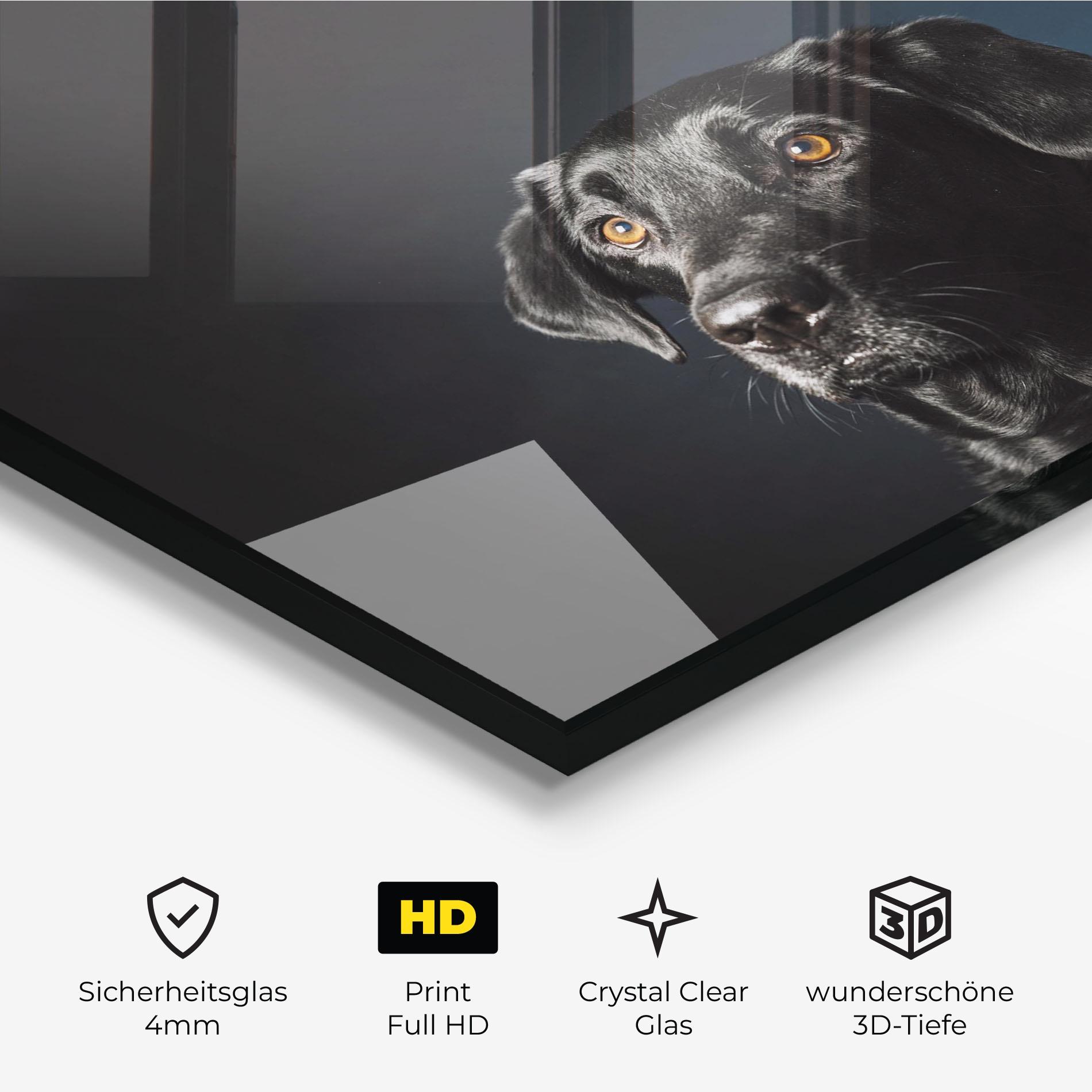 Glasbild Brown Eyes Dog mockup 3