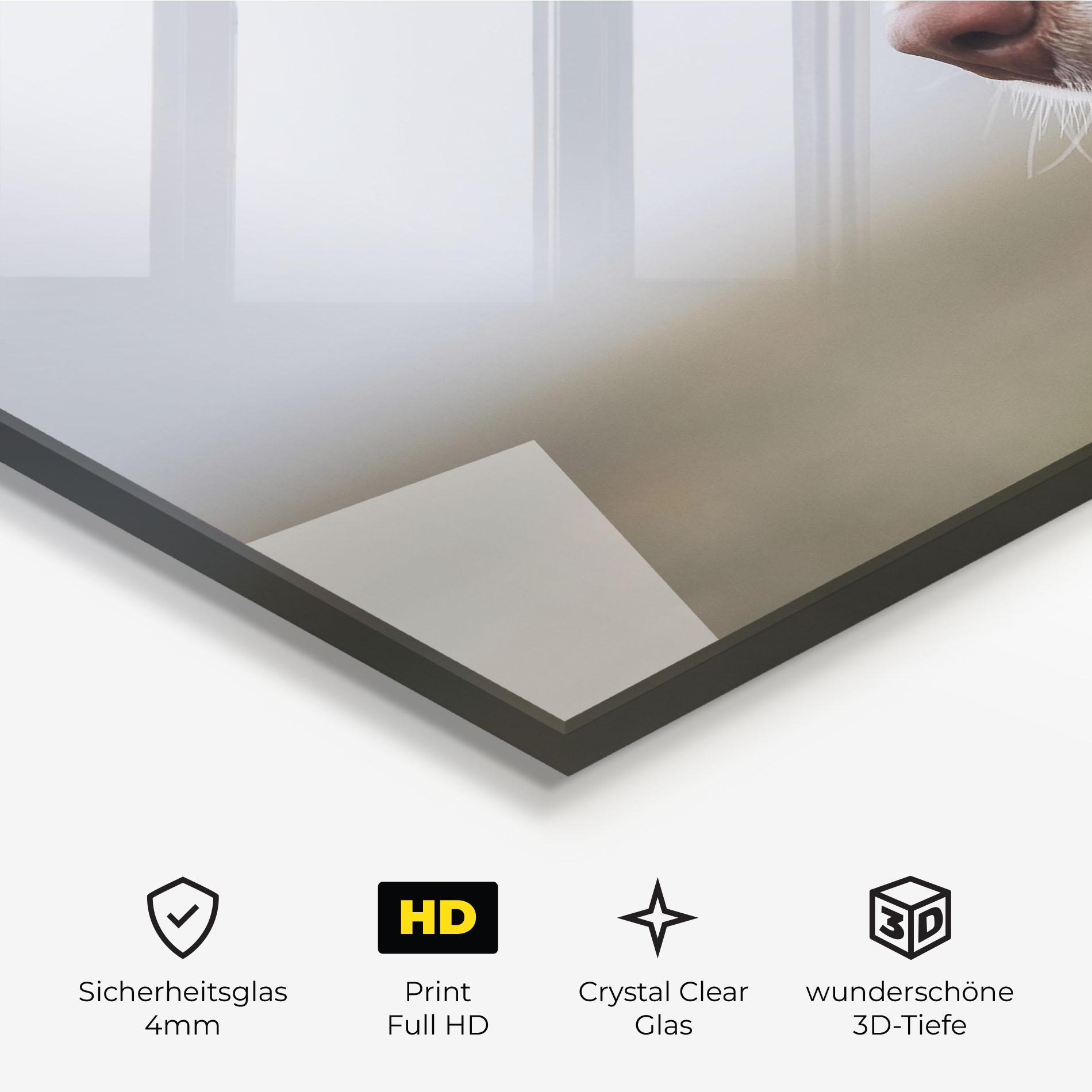 Glasbild Brown White Dog mockup 3