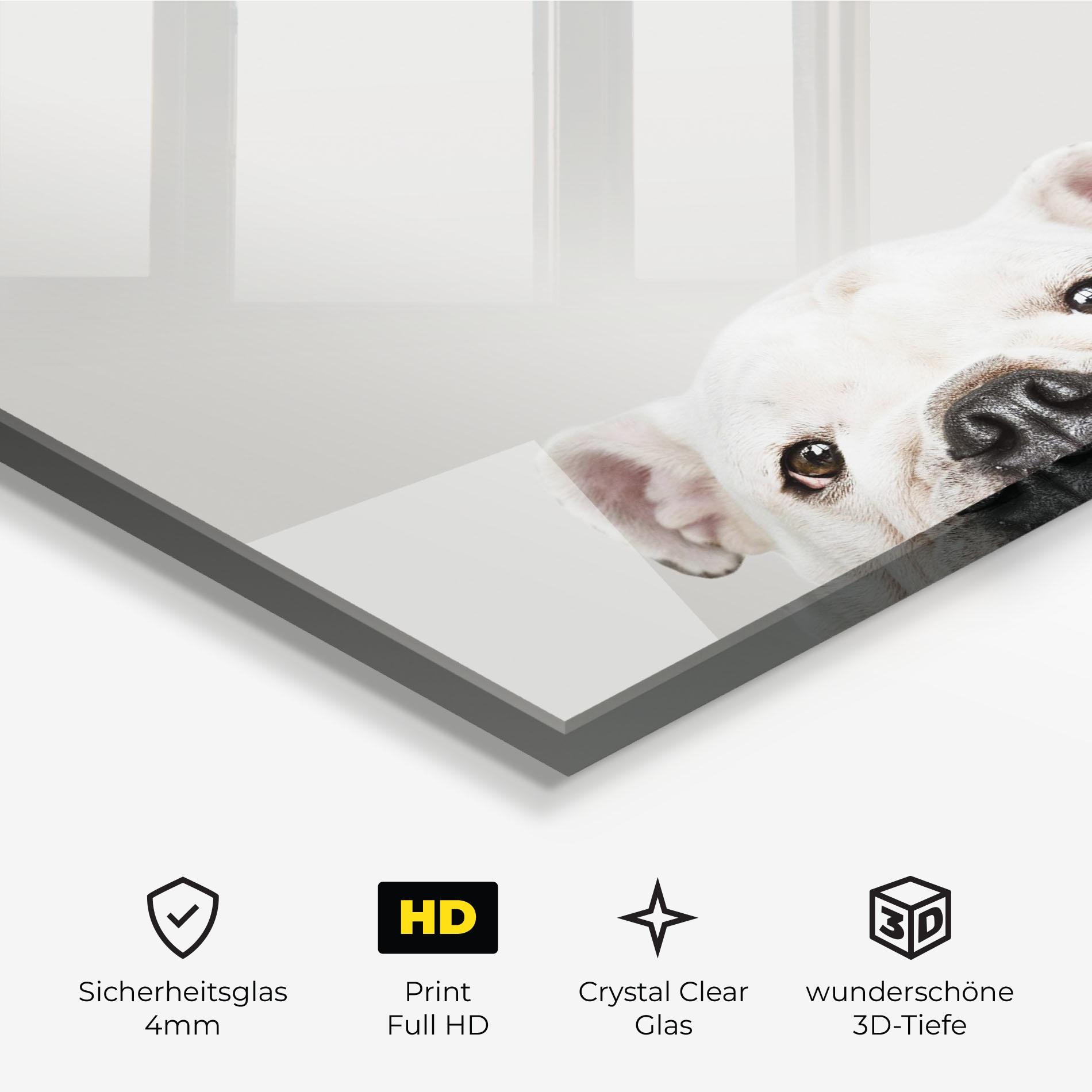 Glasbild Bulldog Eyes mockup 3