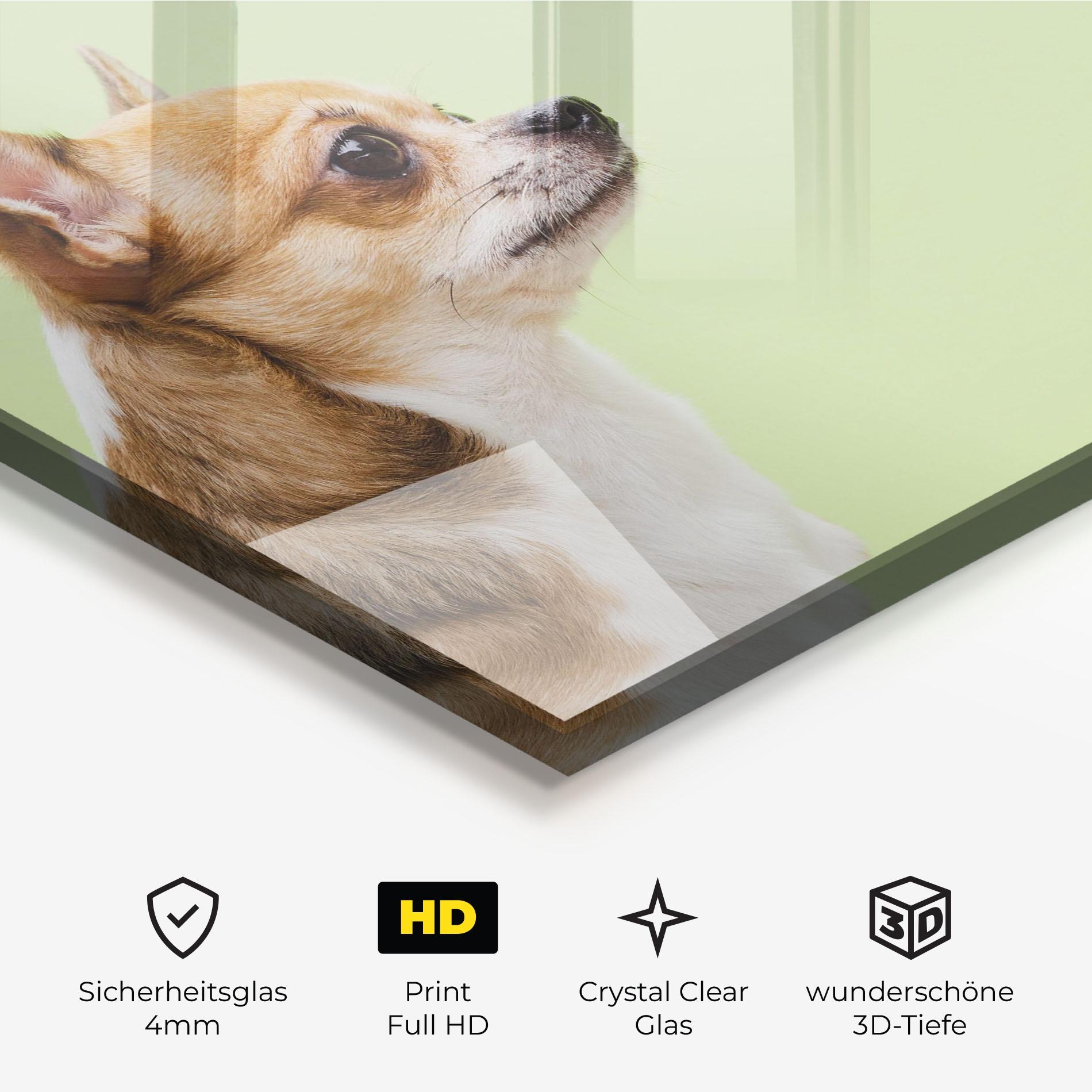 Glasbild Chihuahua Dog mockup 3