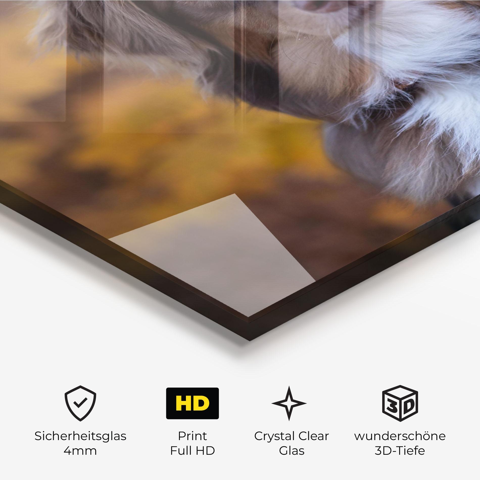 Glasbild Coffee Brown Dog mockup 3