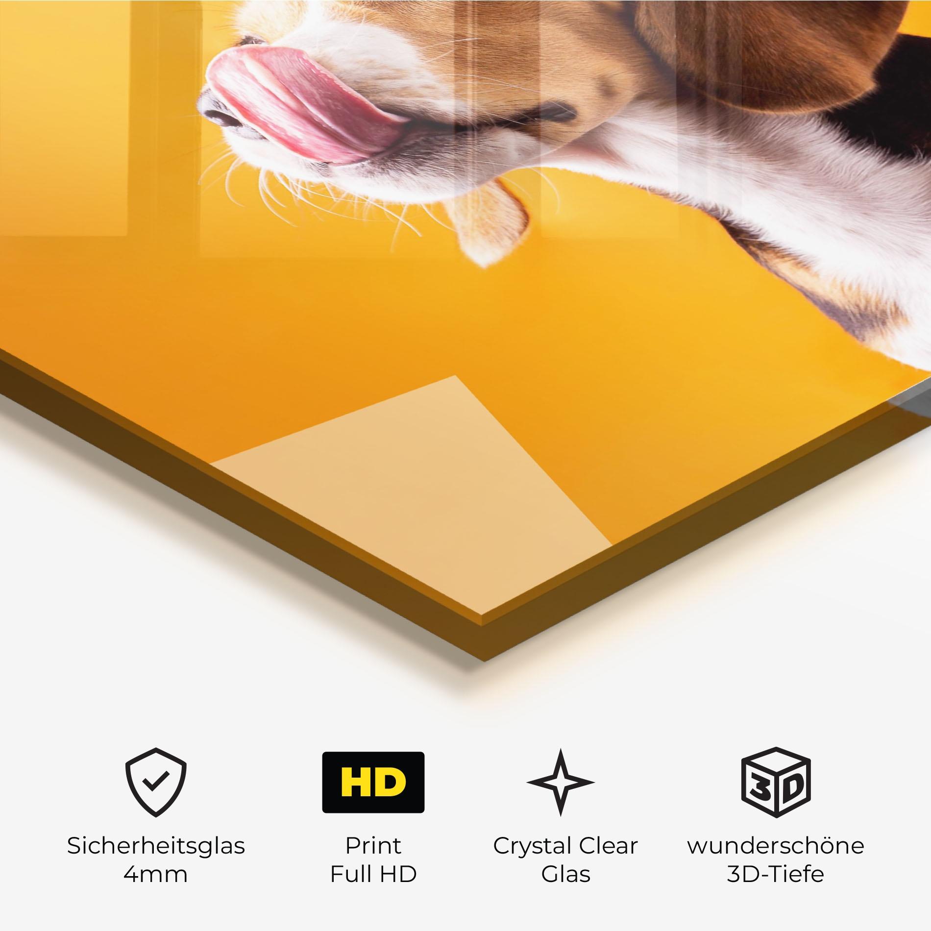 Glasbild Cute Beagle Puppy mockup 3