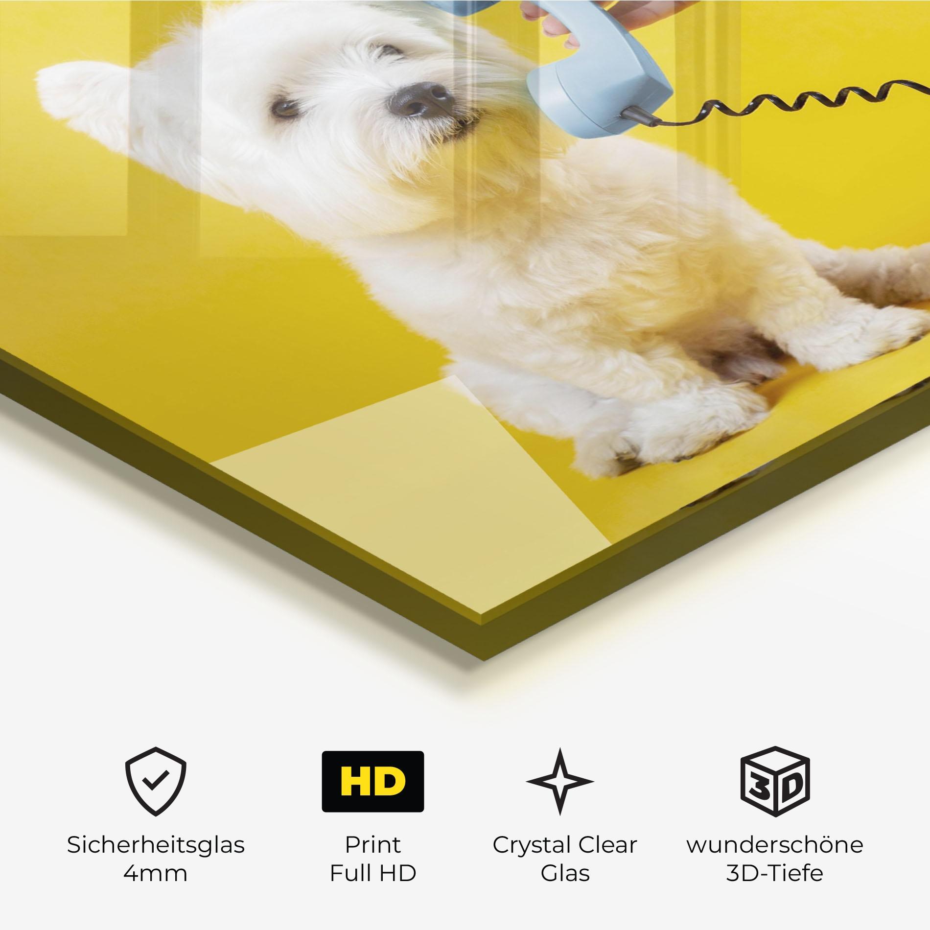 Glasbild Cute Little Dog mockup 3