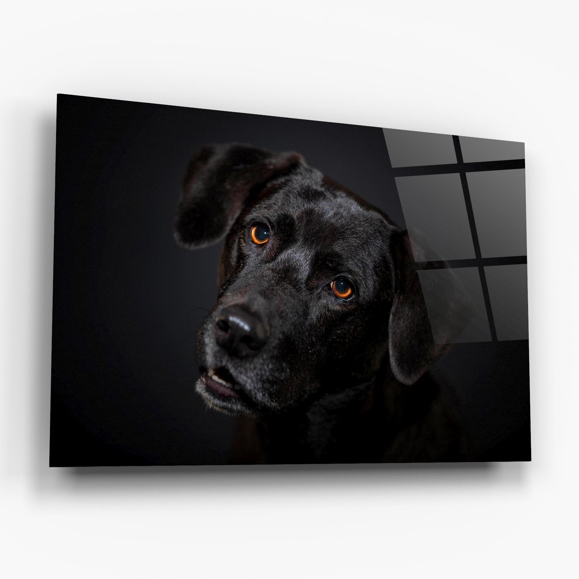 Glasbild Black Dog Portrait mockup 6