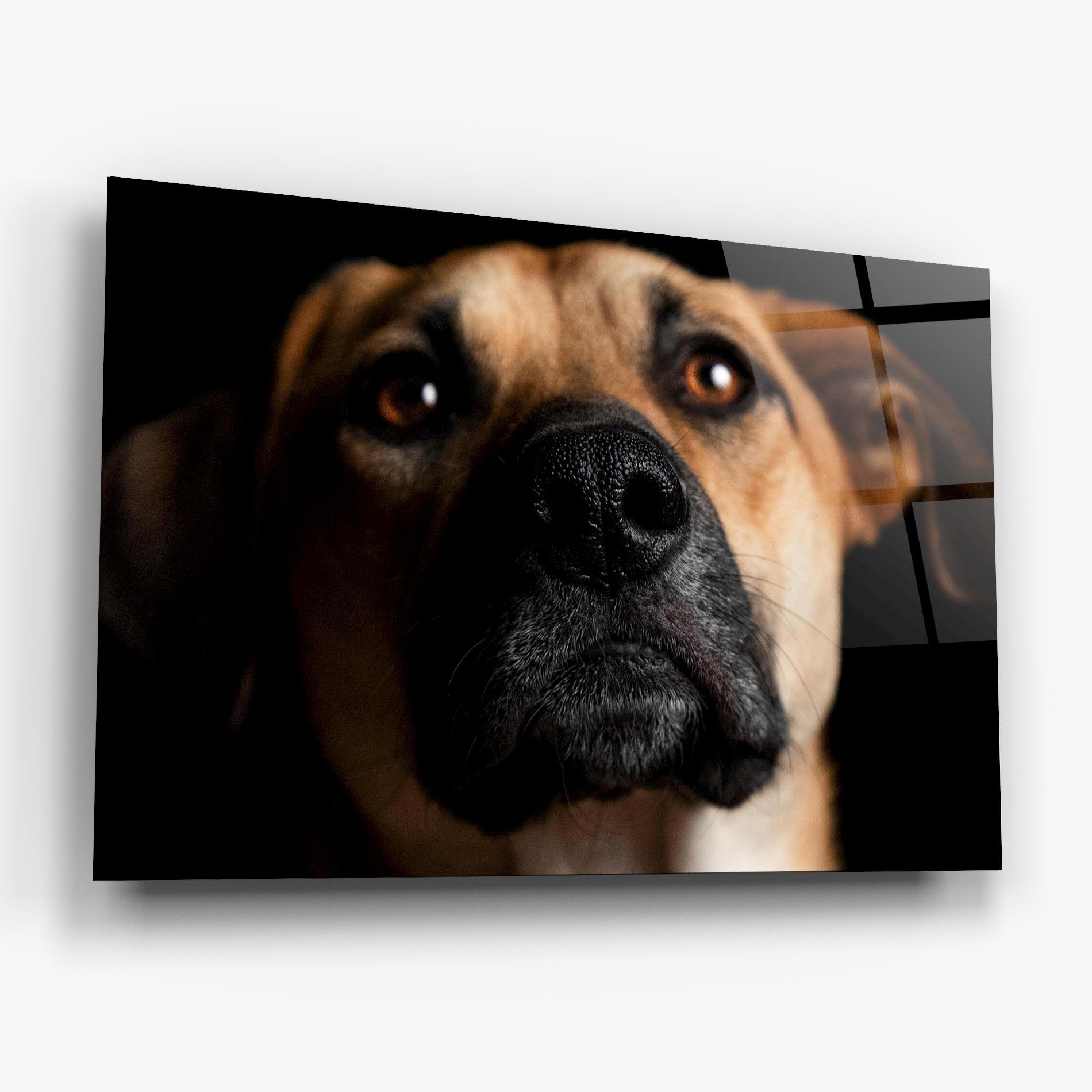 Glasbild Black Nose Dog mockup 6