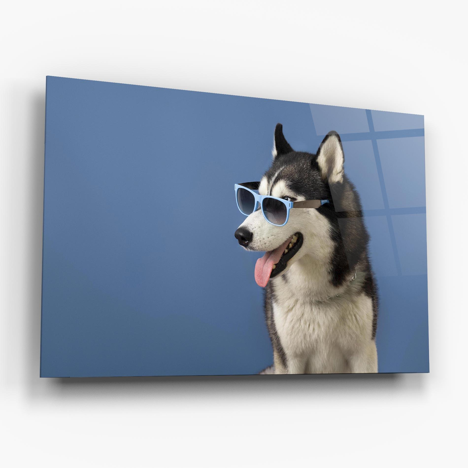 Glasbild Blue Glasses Dog mockup 6