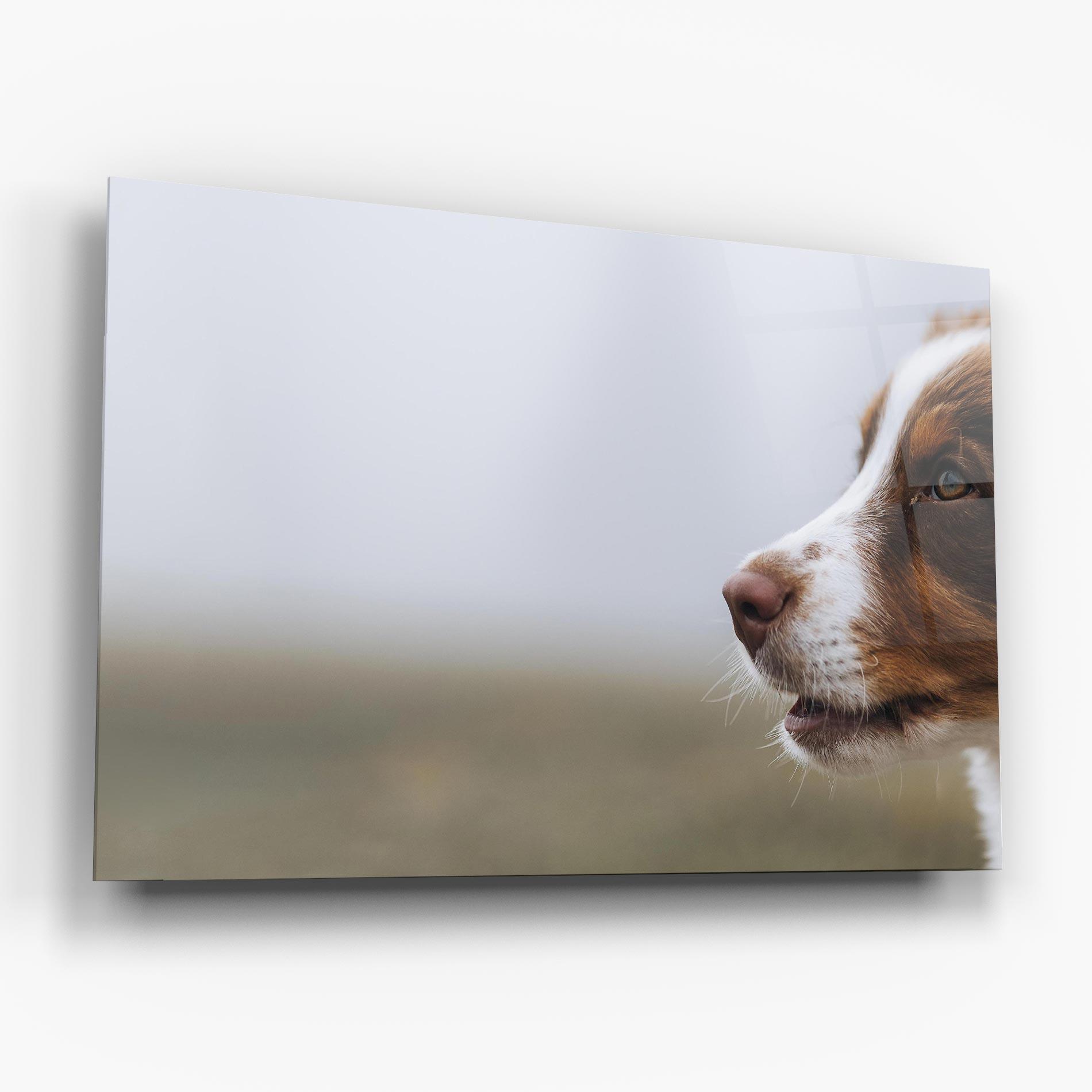 Glasbild Brown White Dog mockup 6