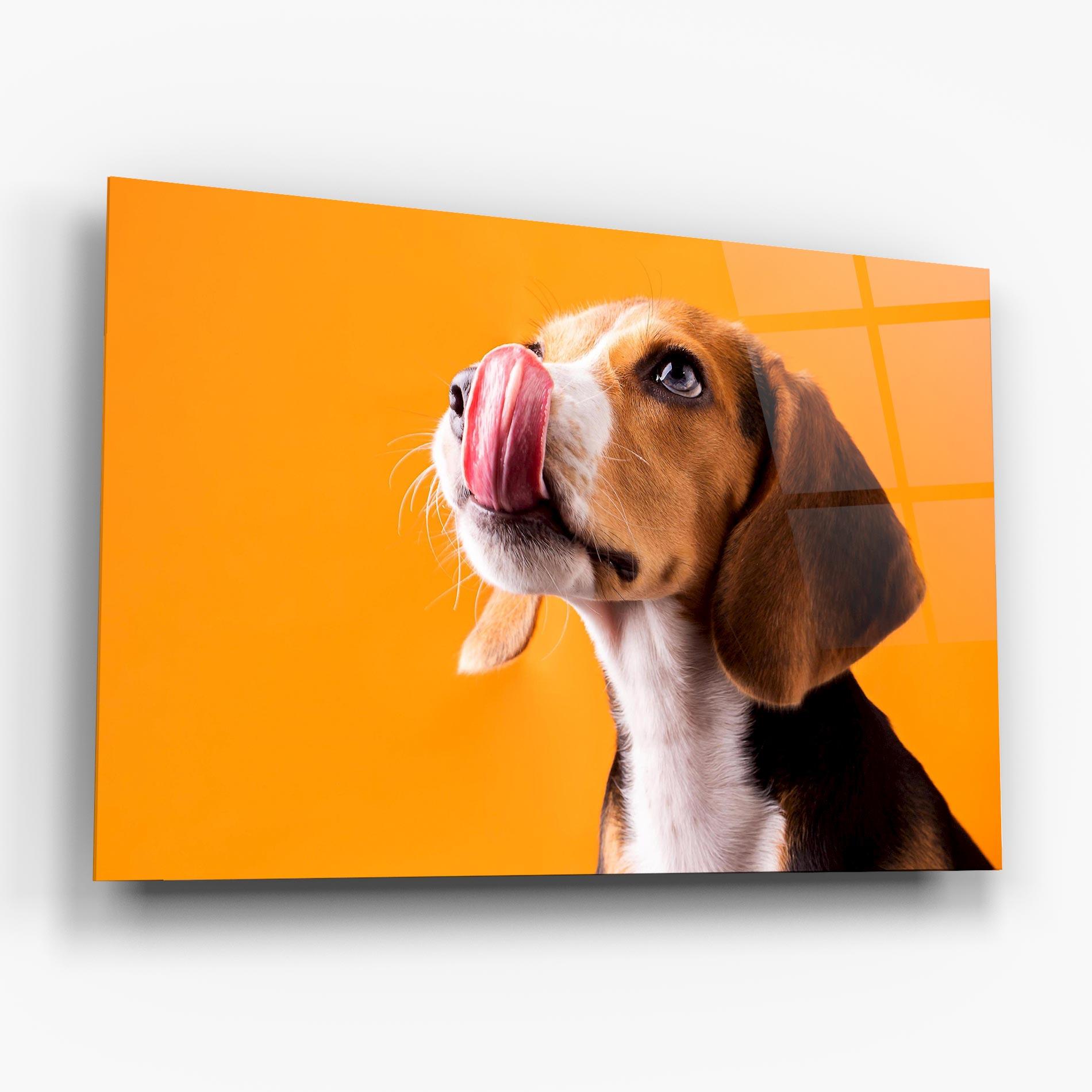 Glasbild Cute Beagle Puppy mockup 6