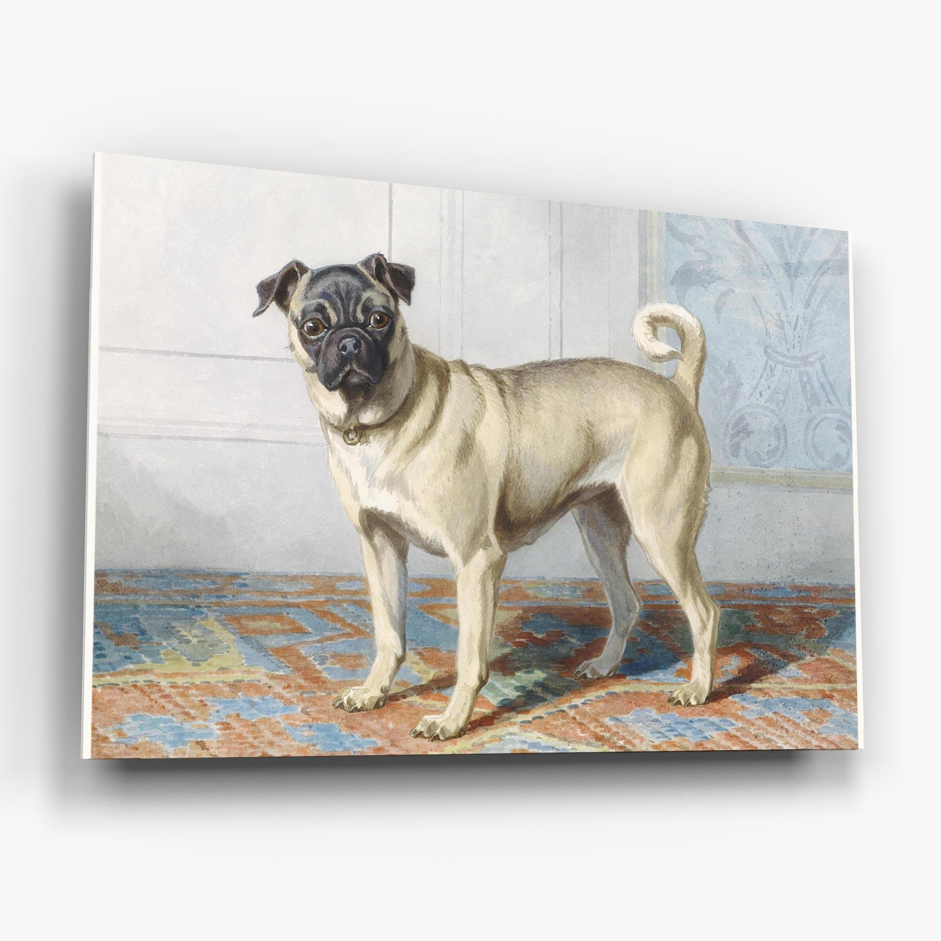 Glasbild Cute Cream Dog mockup 6