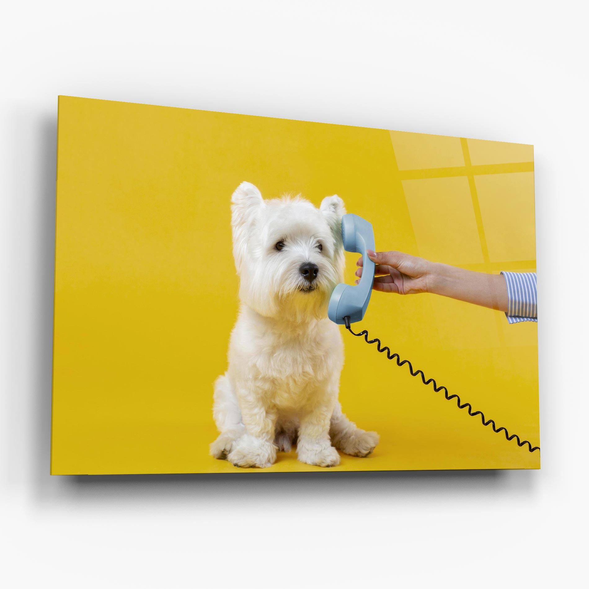 Glasbild Cute Little Dog mockup 6