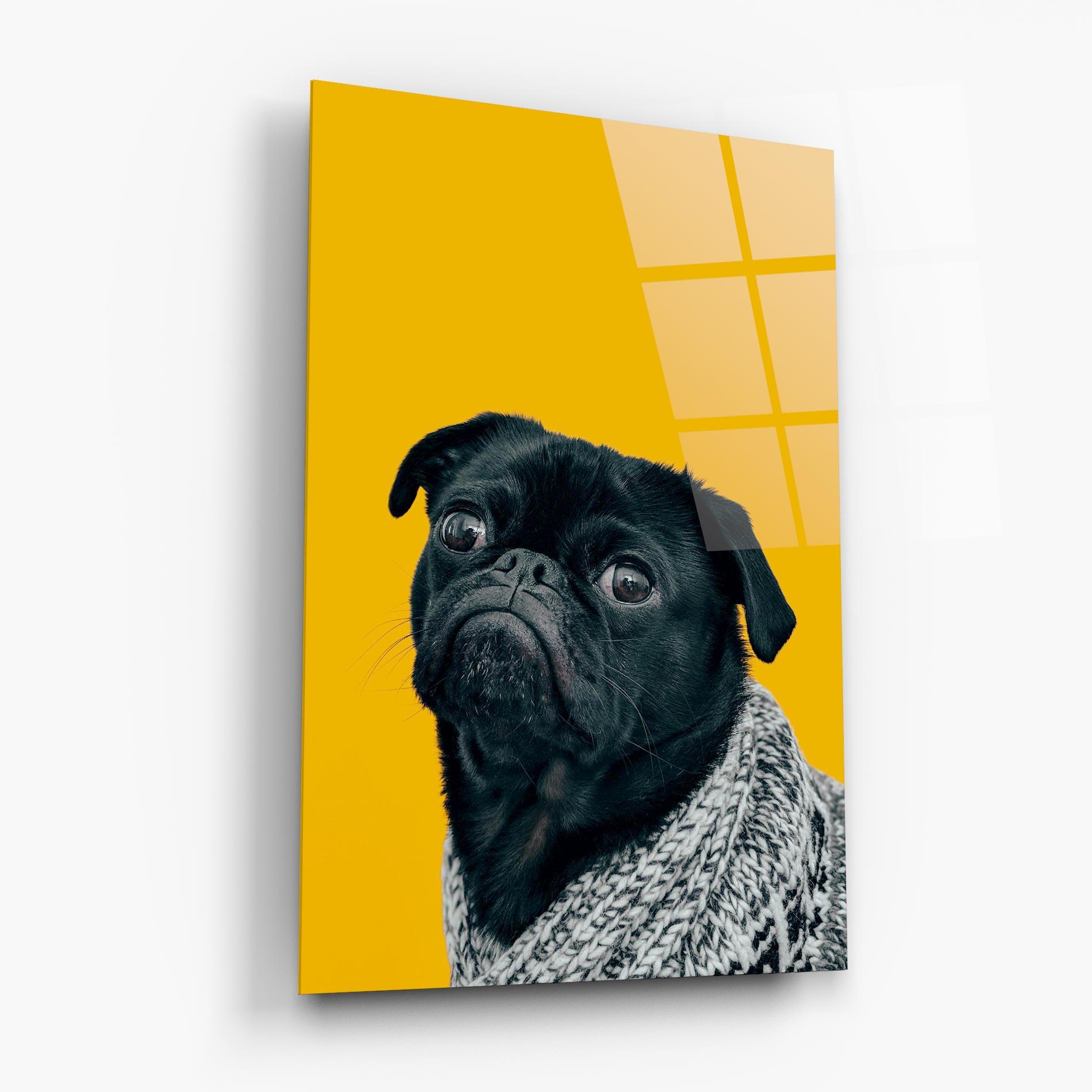 Glasbild Black Pug mockup 6
