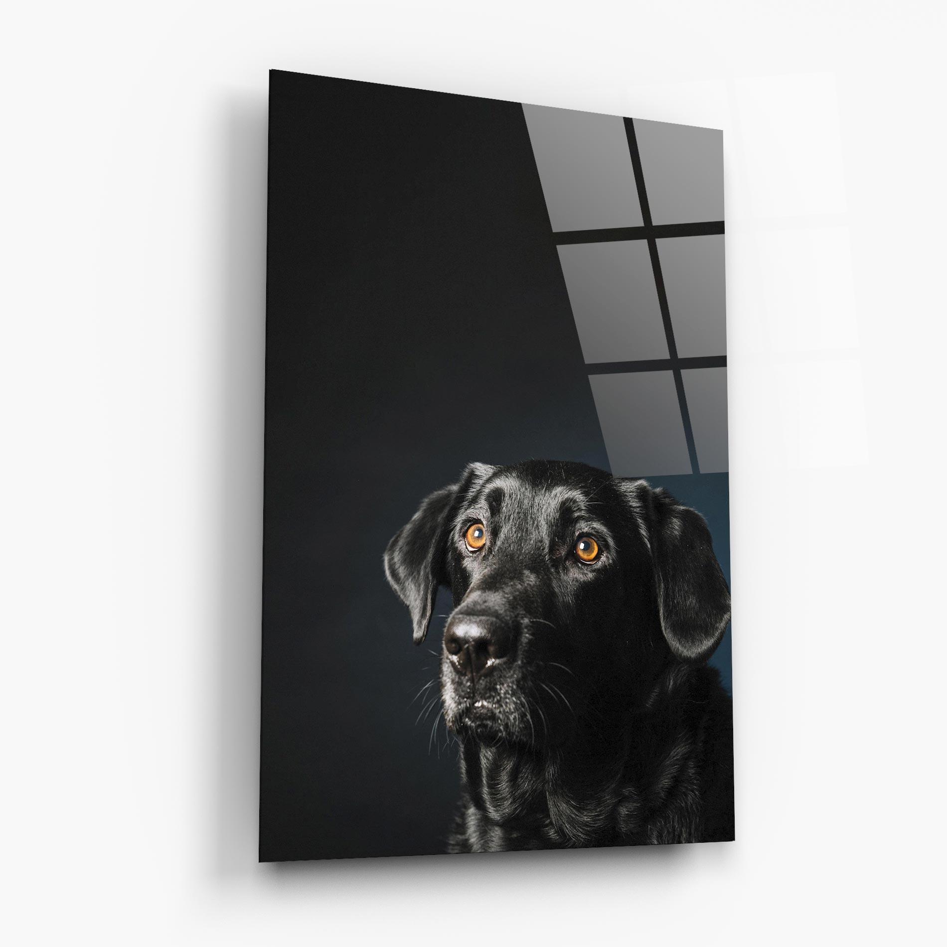Glasbild Brown Eyes Dog mockup 6