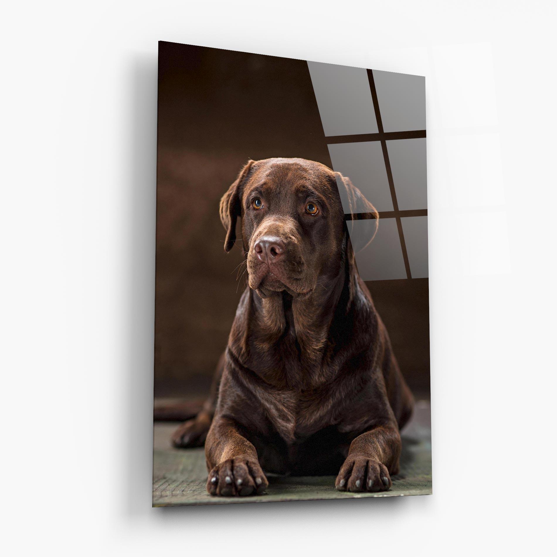 Glasbild Brown Labrador Dog mockup 6