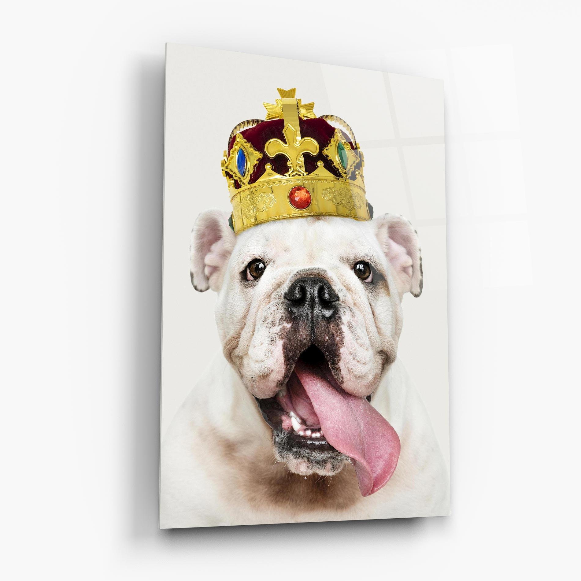 Glasbild Bulldog Wearing Crown mockup 6