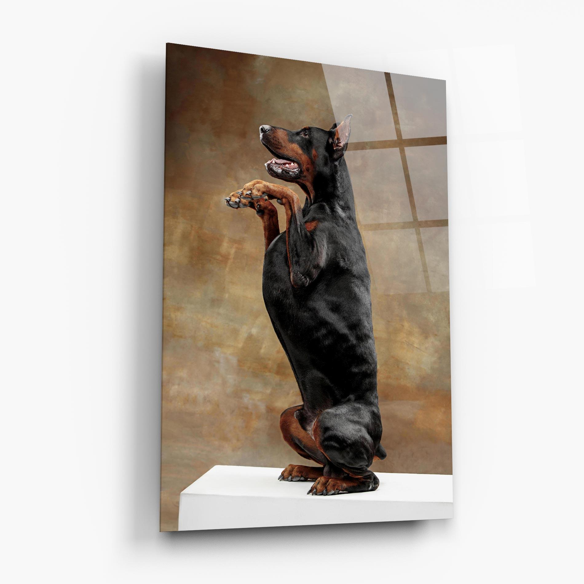 Glasbild Doberman Standing mockup 6