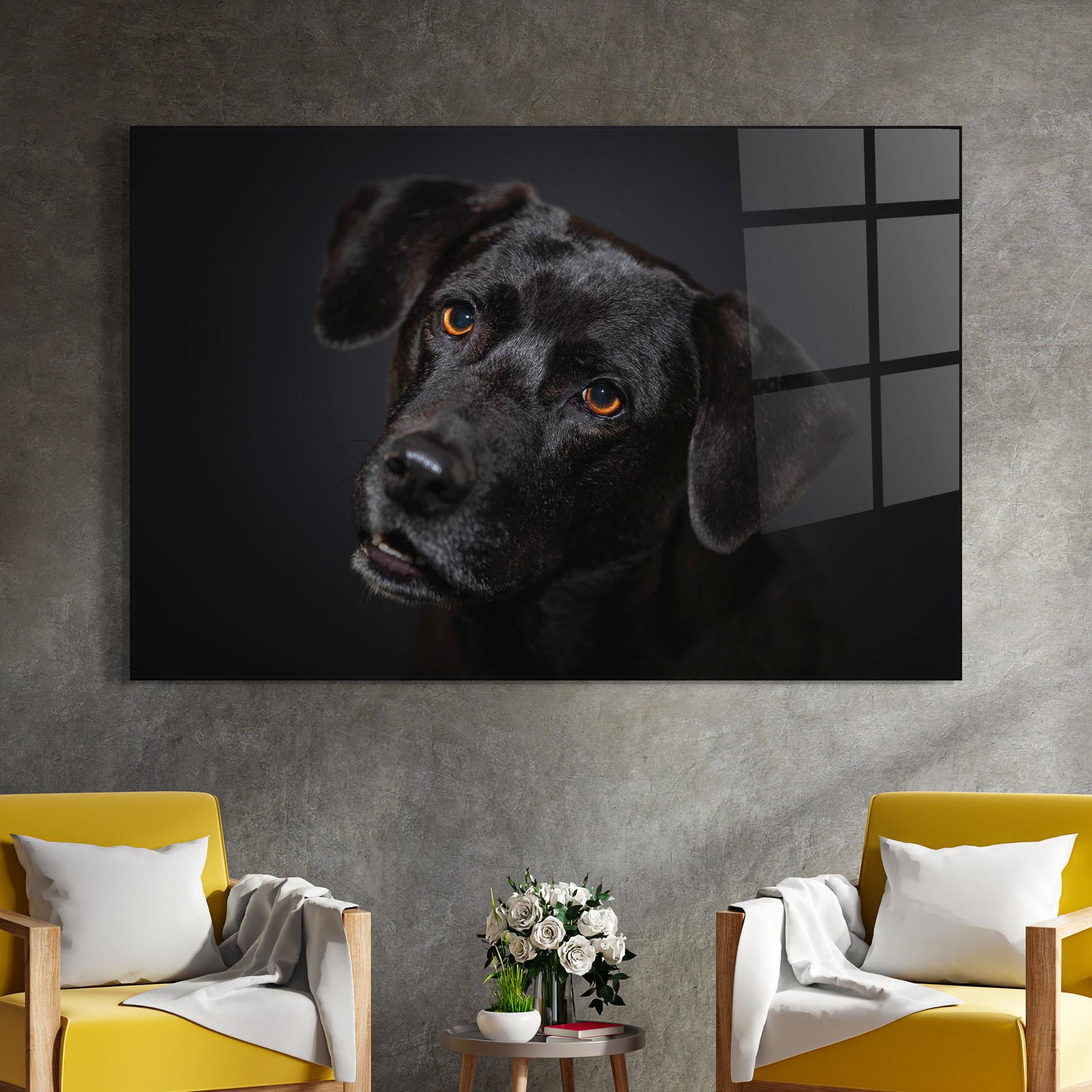 Glasbild Black Dog Portrait mockup 4