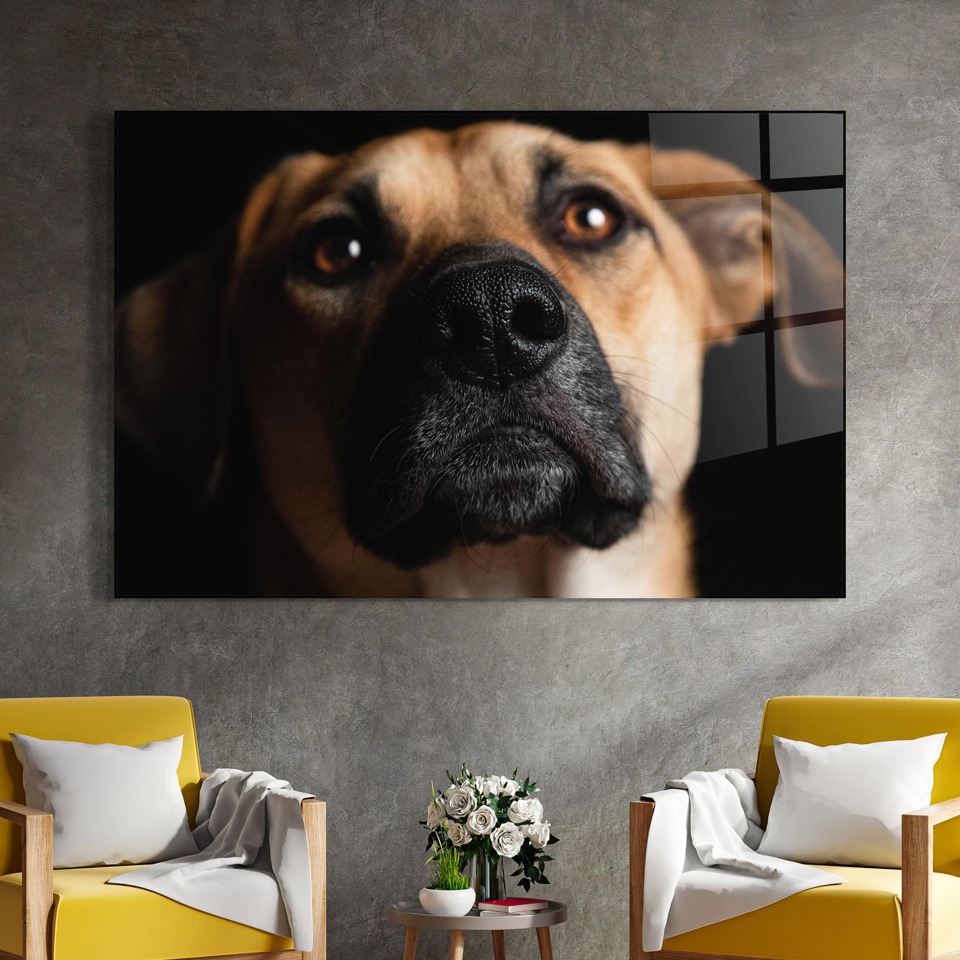 Glasbild Black Nose Dog mockup 4