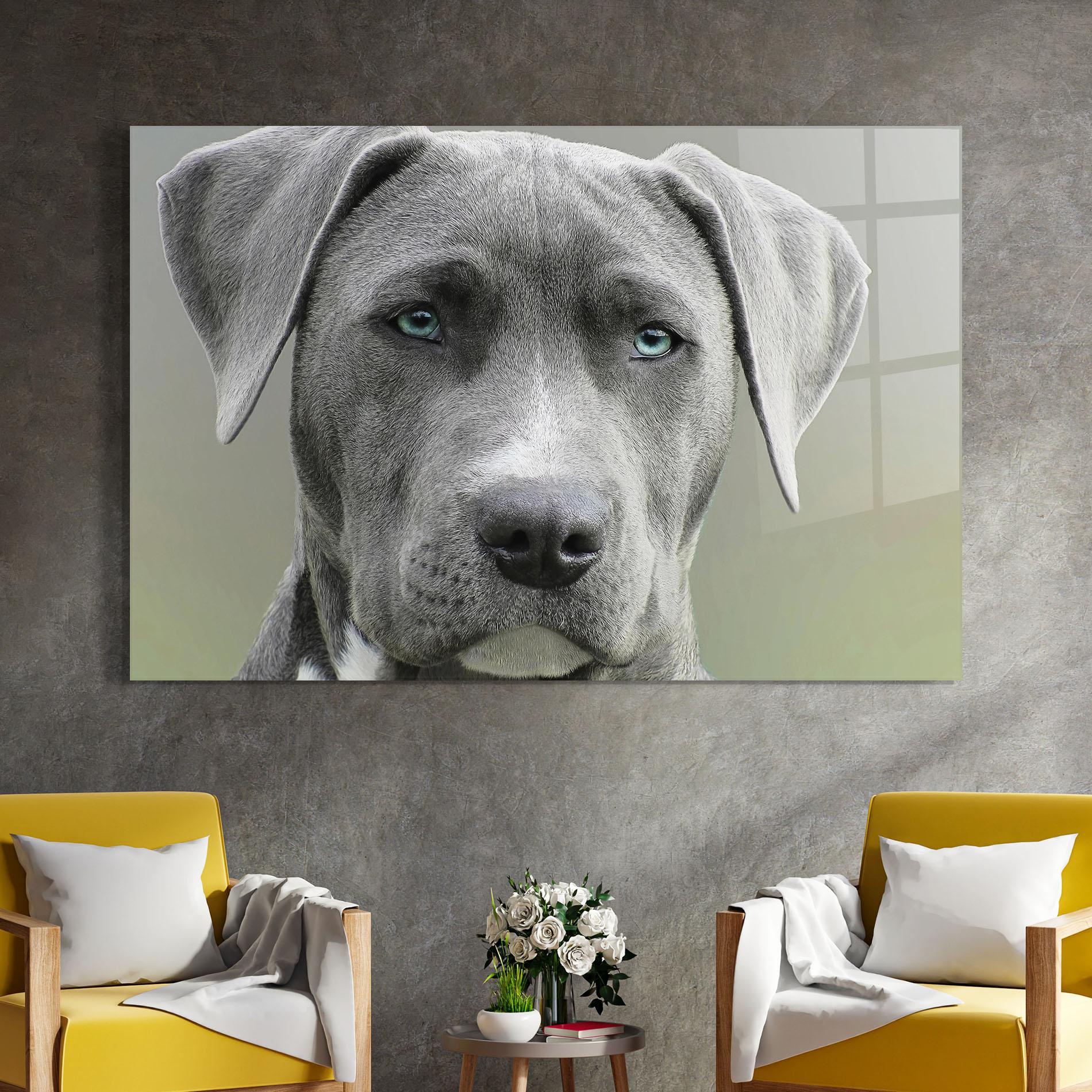 Glasbild Blue Eyes Dog mockup 4