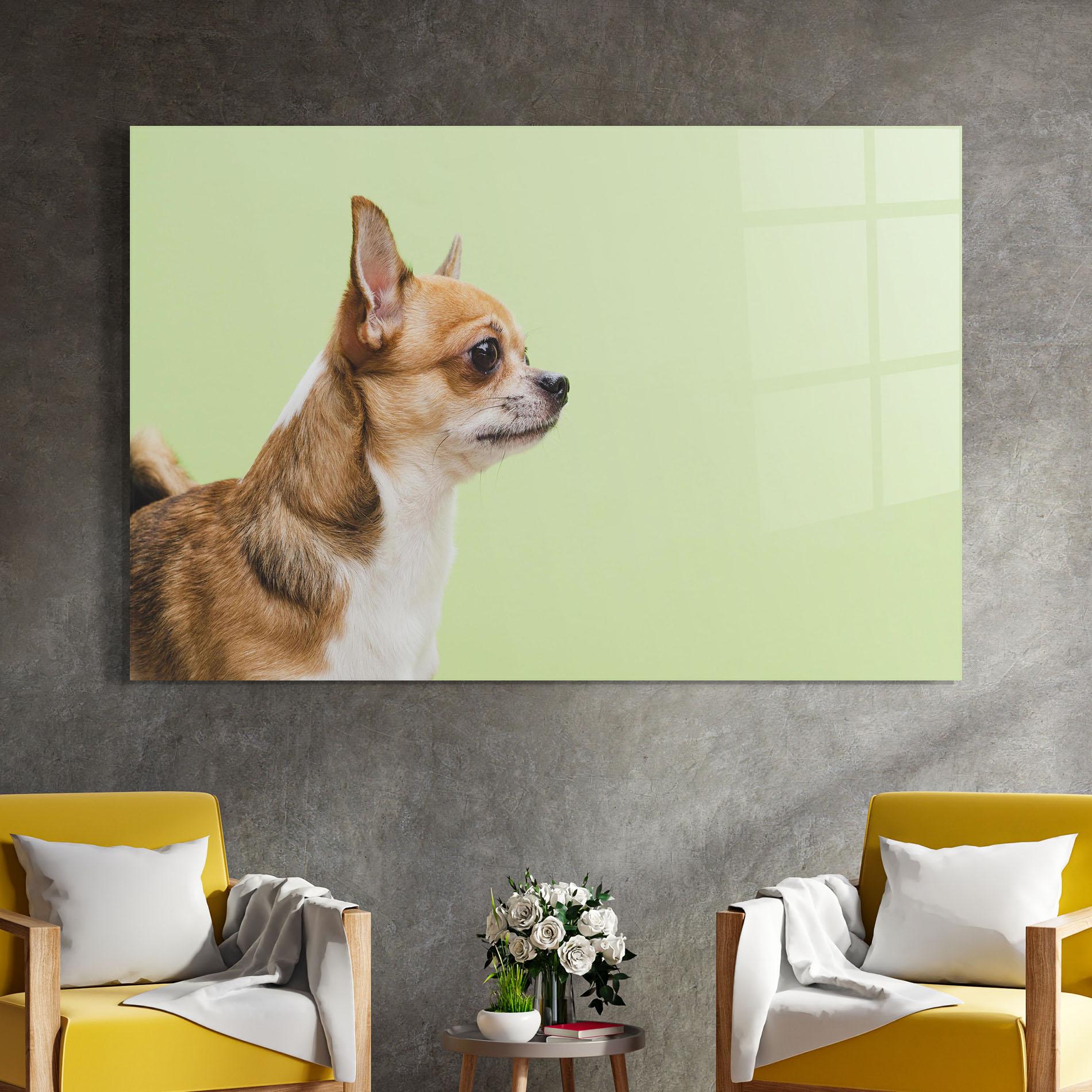 Glasbild Chihuahua Dog mockup 4