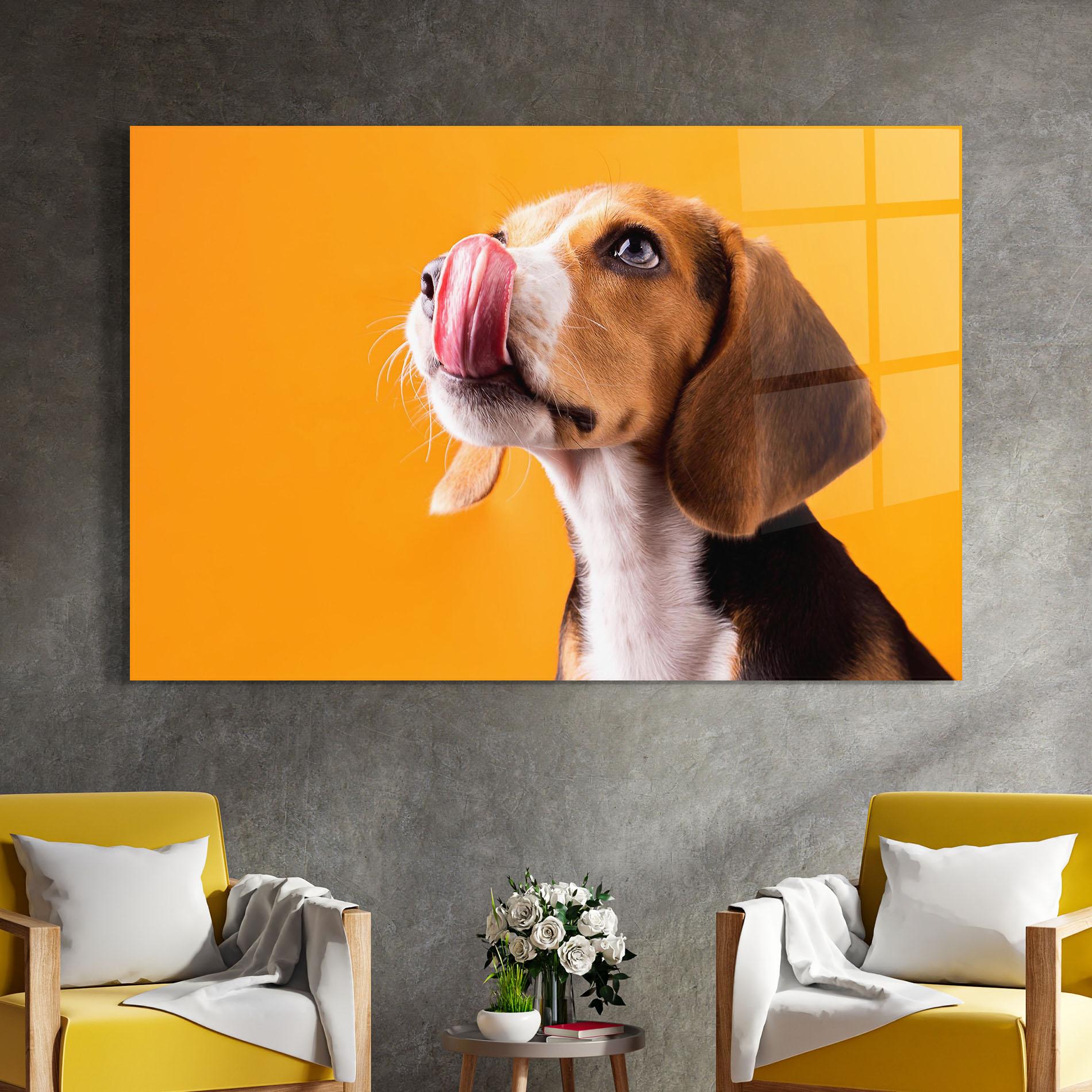 Glasbild Cute Beagle Puppy mockup 4