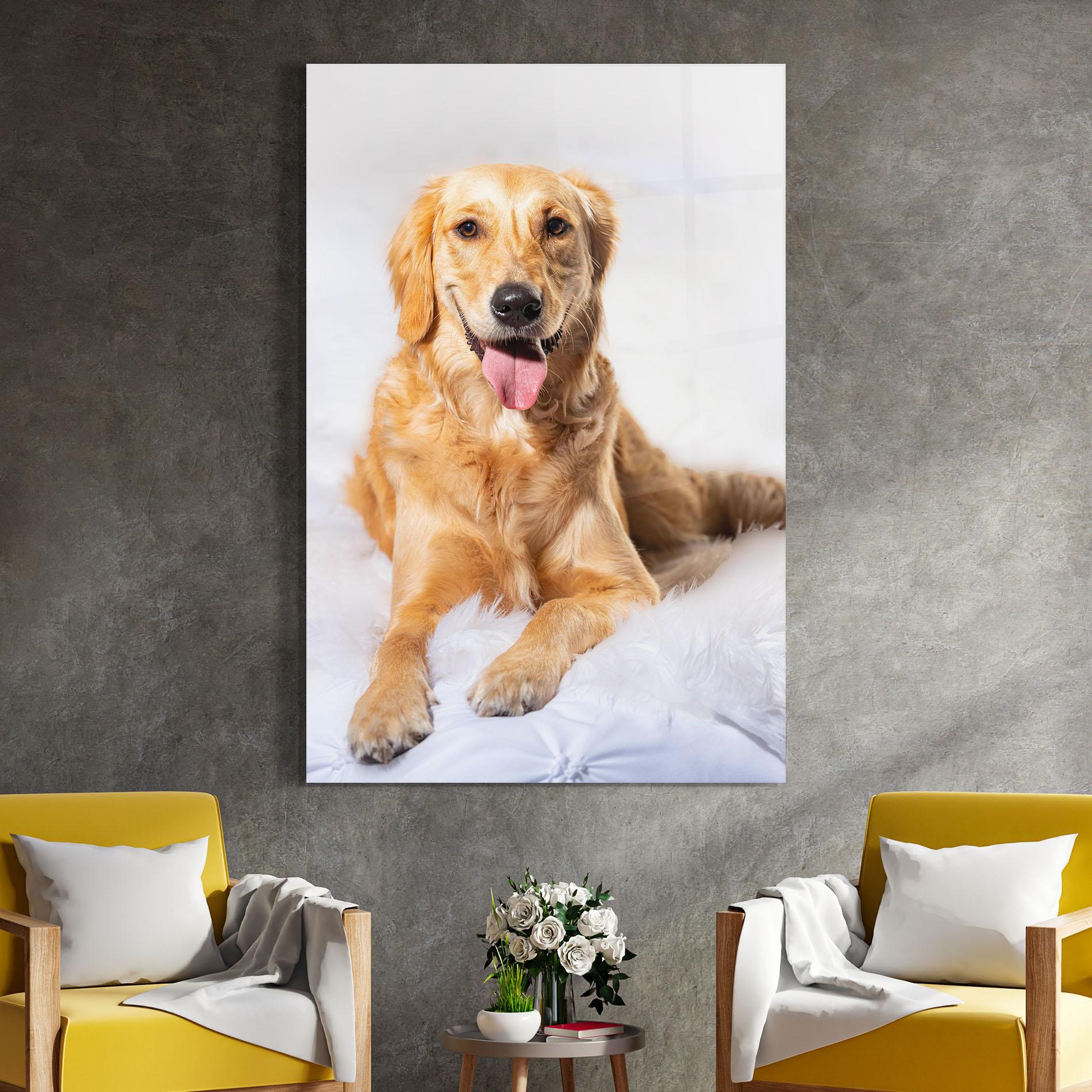 Glasbild Beautiful Gold Dog mockup 4