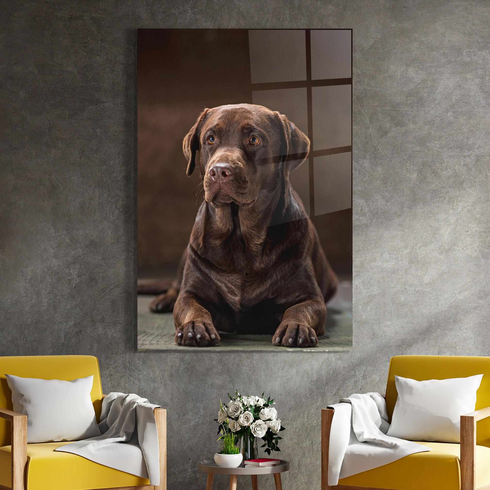 Glasbild Brown Labrador Dog mockup 4