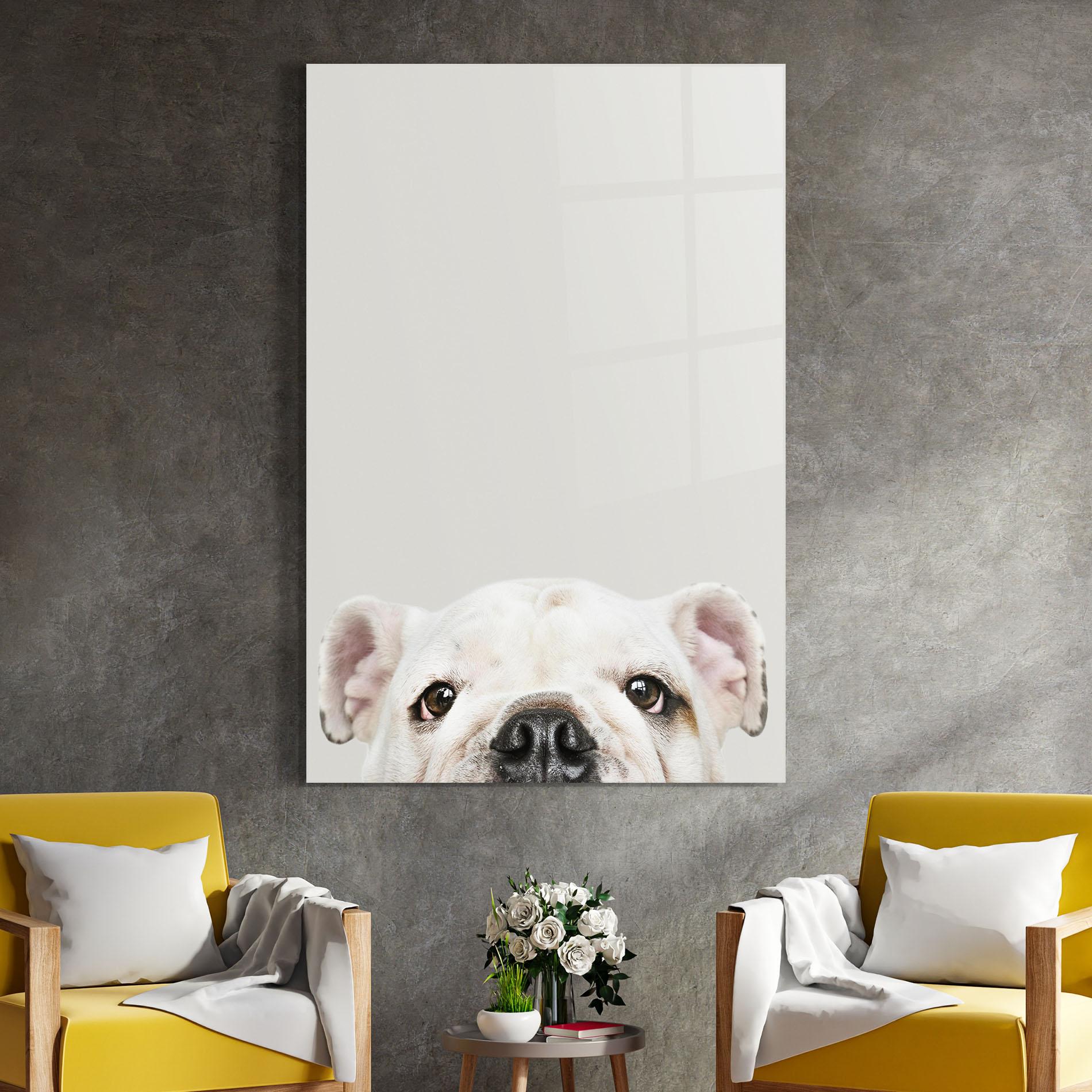 Glasbild Bulldog Eyes mockup 4