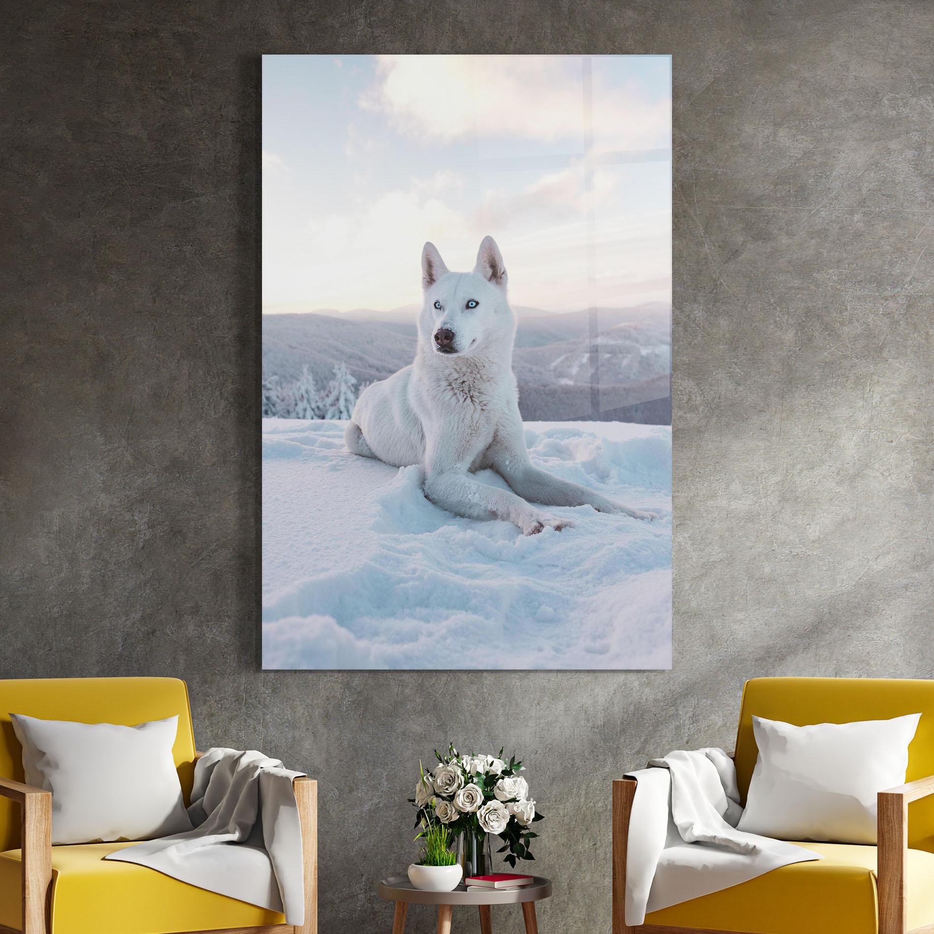 Glasbild White Husky mockup 4
