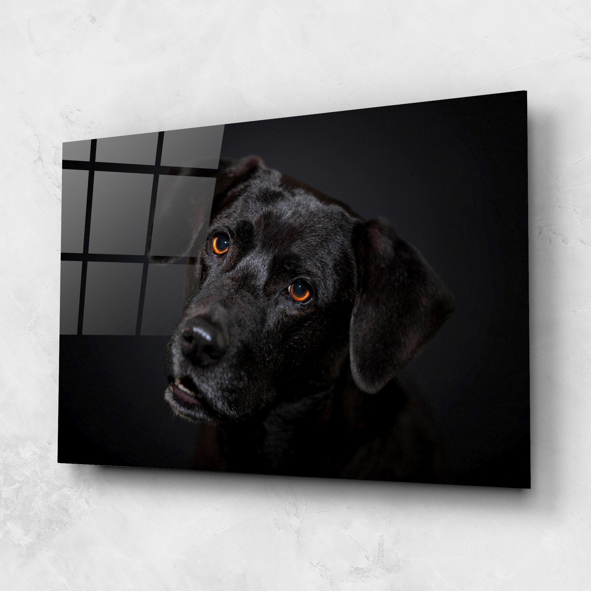 Glasbild Black Dog Portrait mockup 1