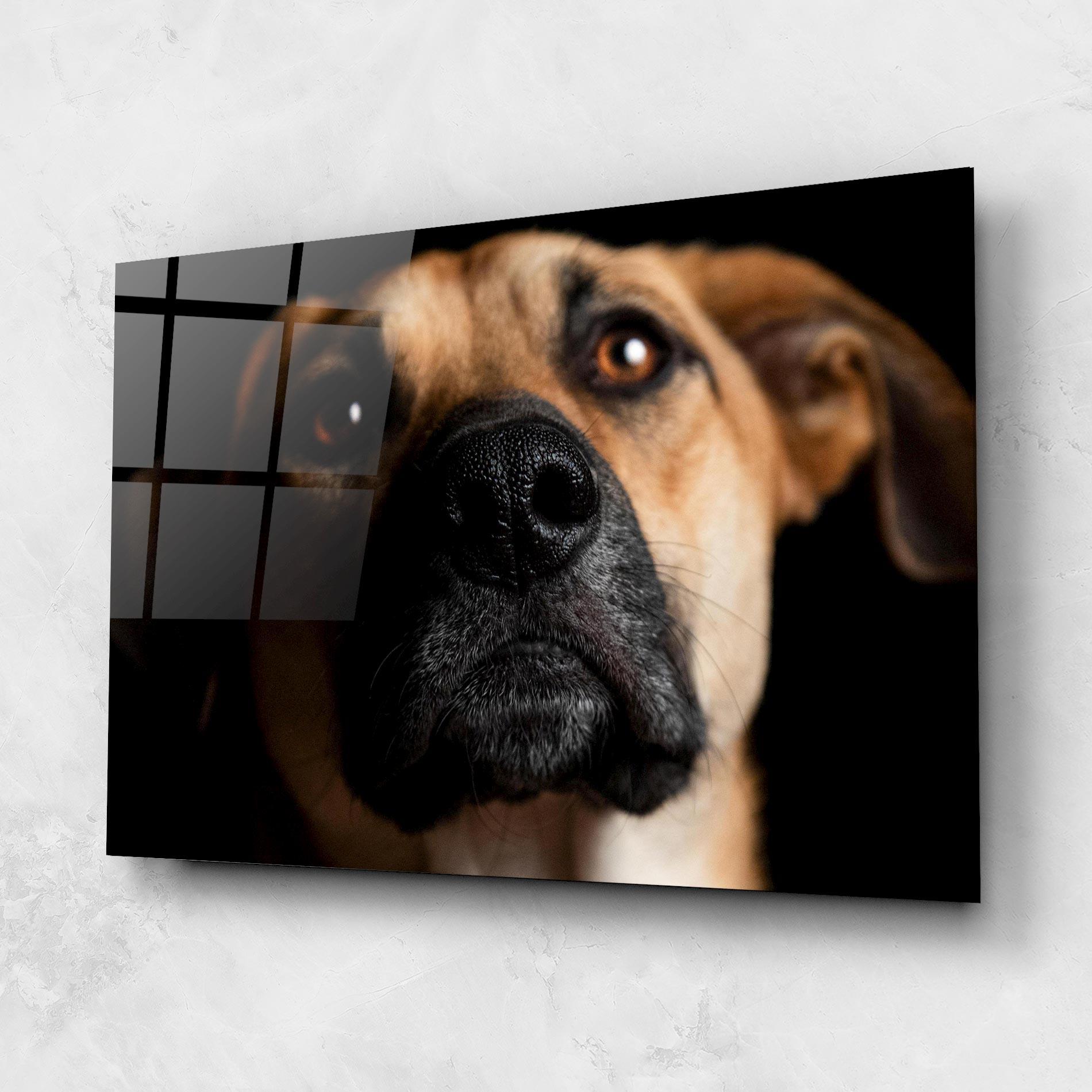 Glasbild Black Nose Dog mockup 1