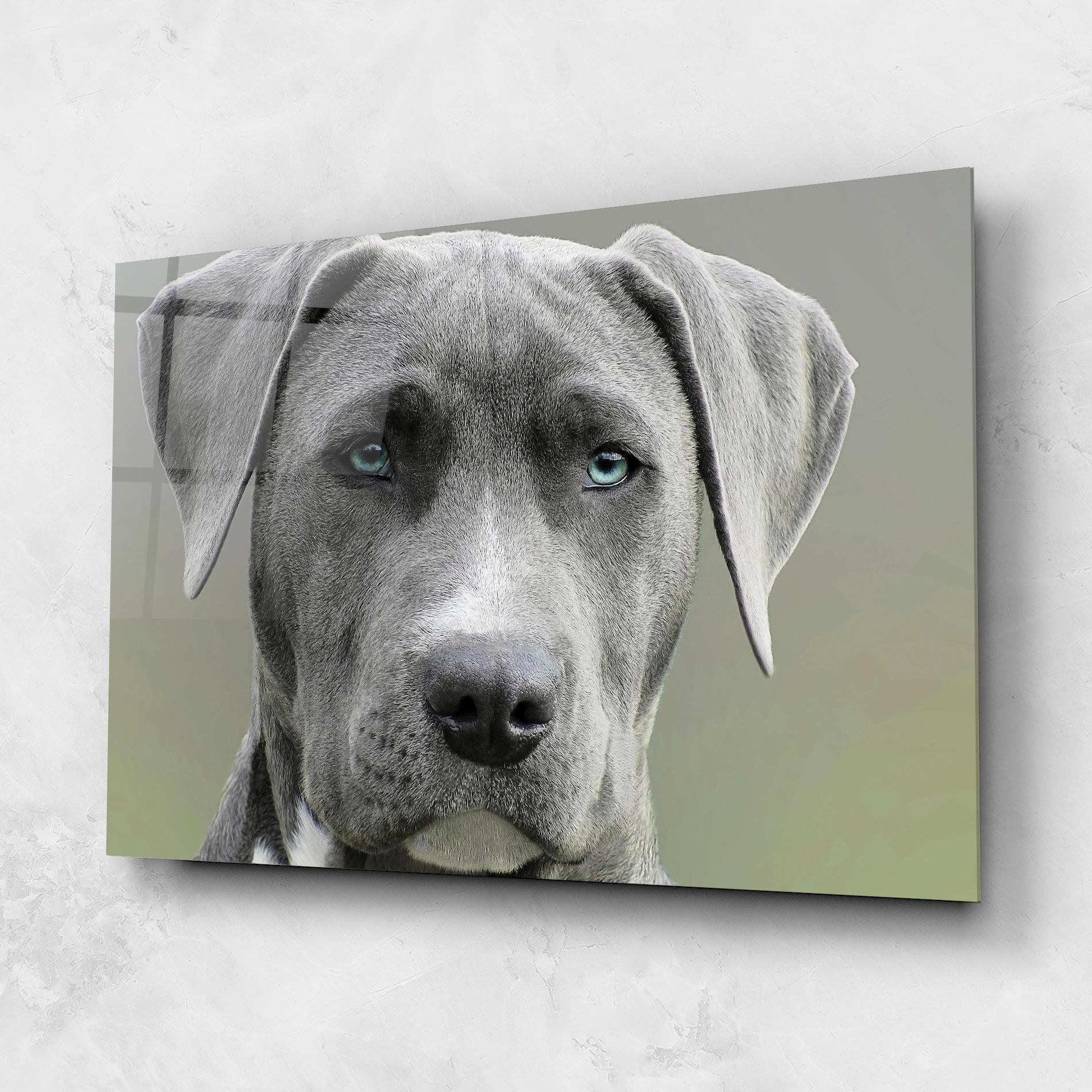 Glasbild Blue Eyes Dog mockup 1