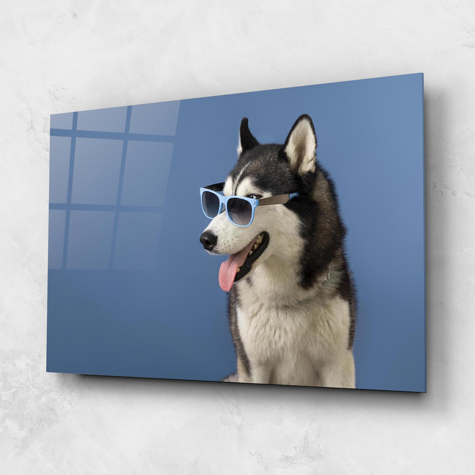 Glasbild Blue Glasses Dog mockup 1