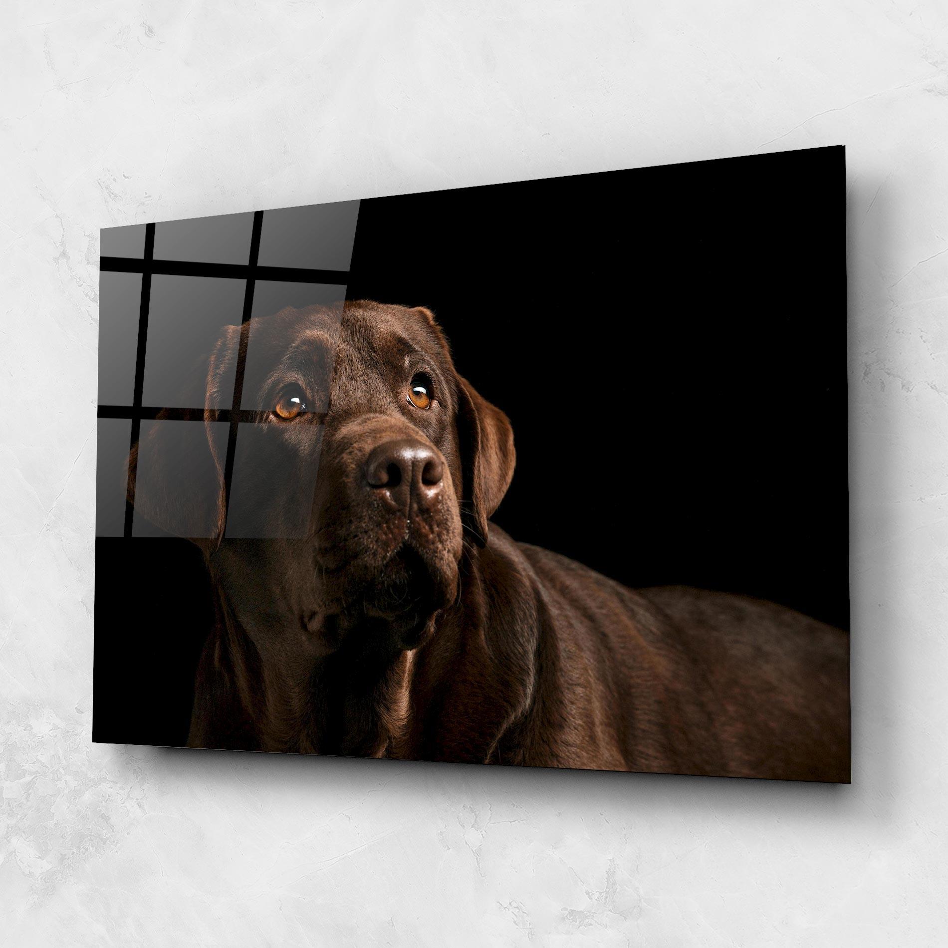 Glasbild Brown Labrador mockup 1