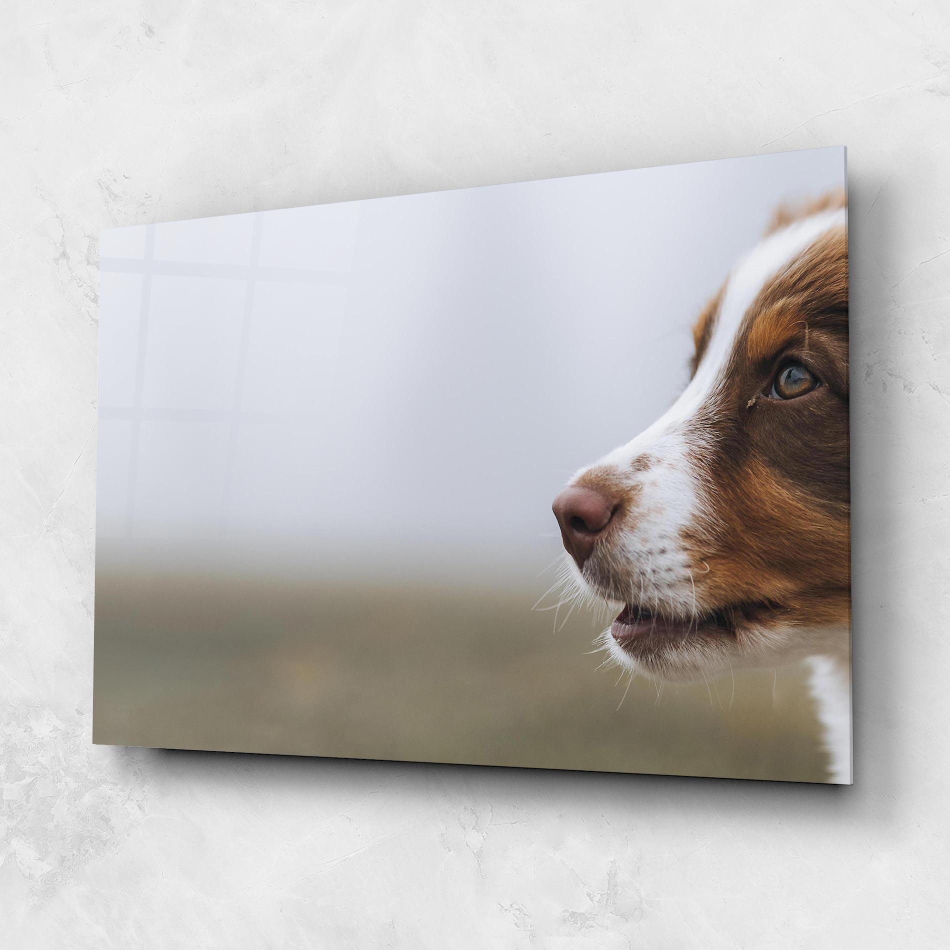 Glasbild Brown White Dog mockup 1