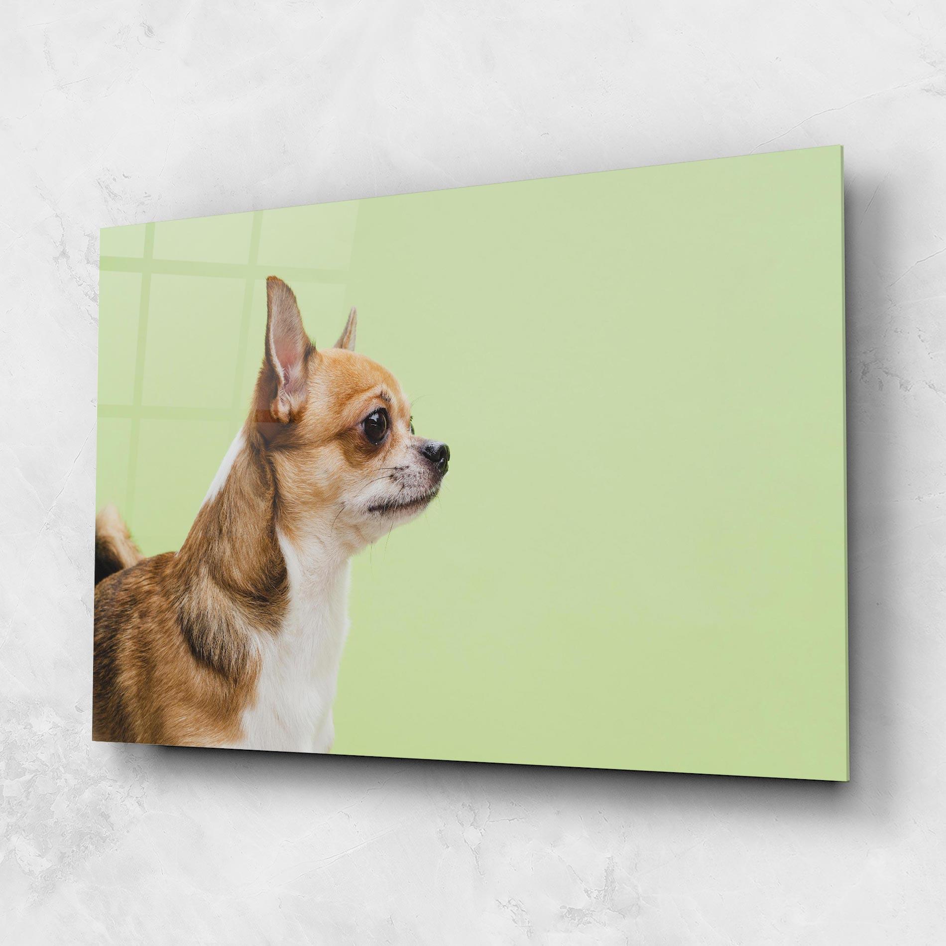 Glasbild Chihuahua Dog mockup 1