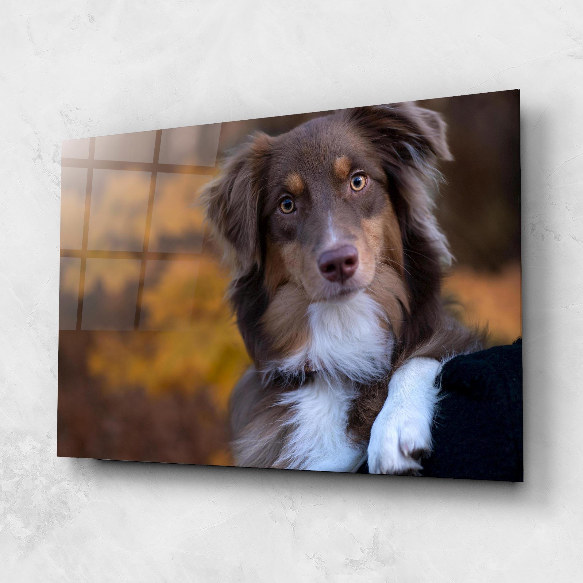 Glasbild Coffee Brown Dog mockup 1