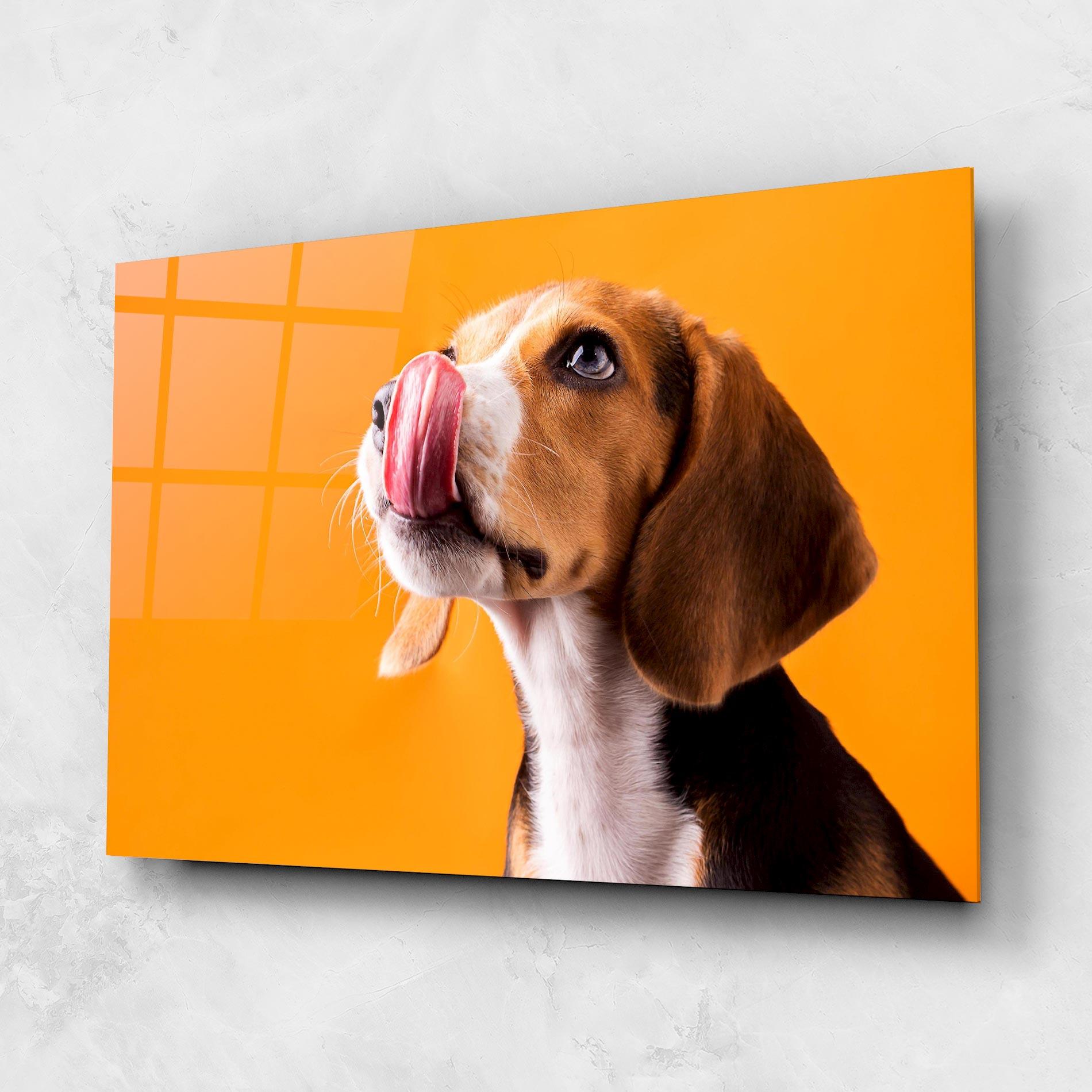 Glasbild Cute Beagle Puppy mockup 1