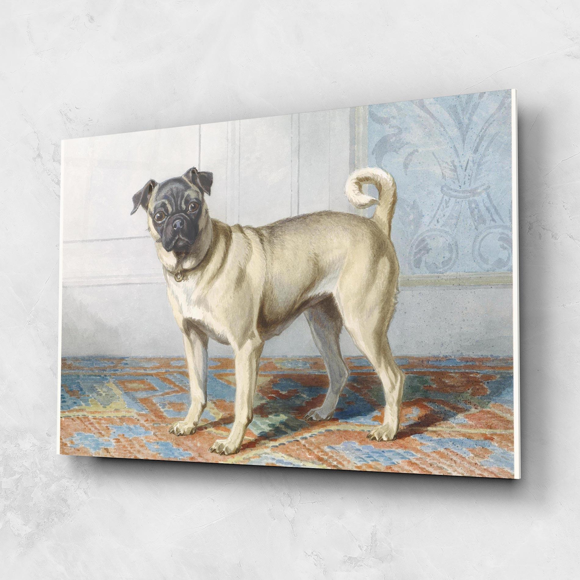 Glasbild Cute Cream Dog mockup 1