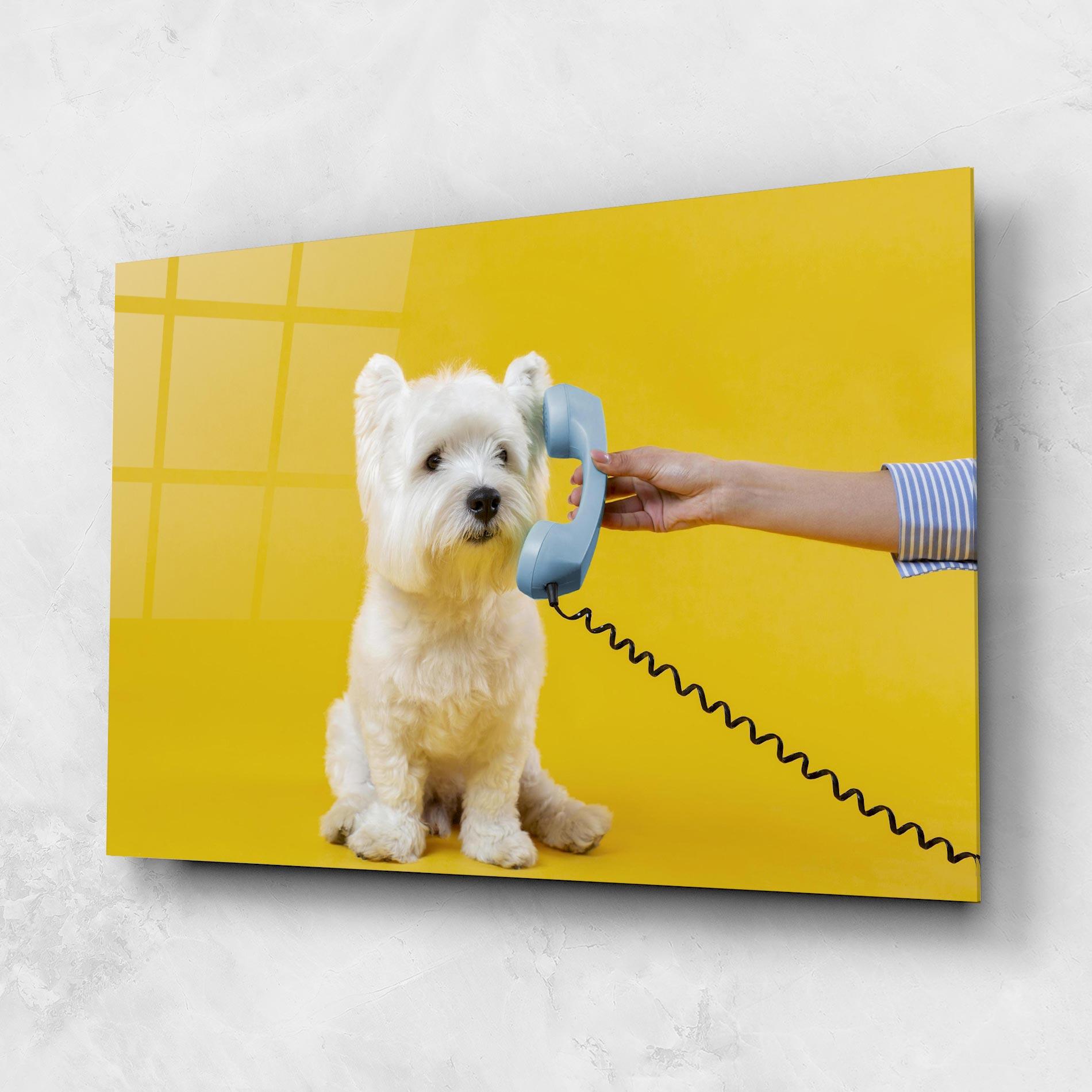 Glasbild Cute Little Dog mockup 1