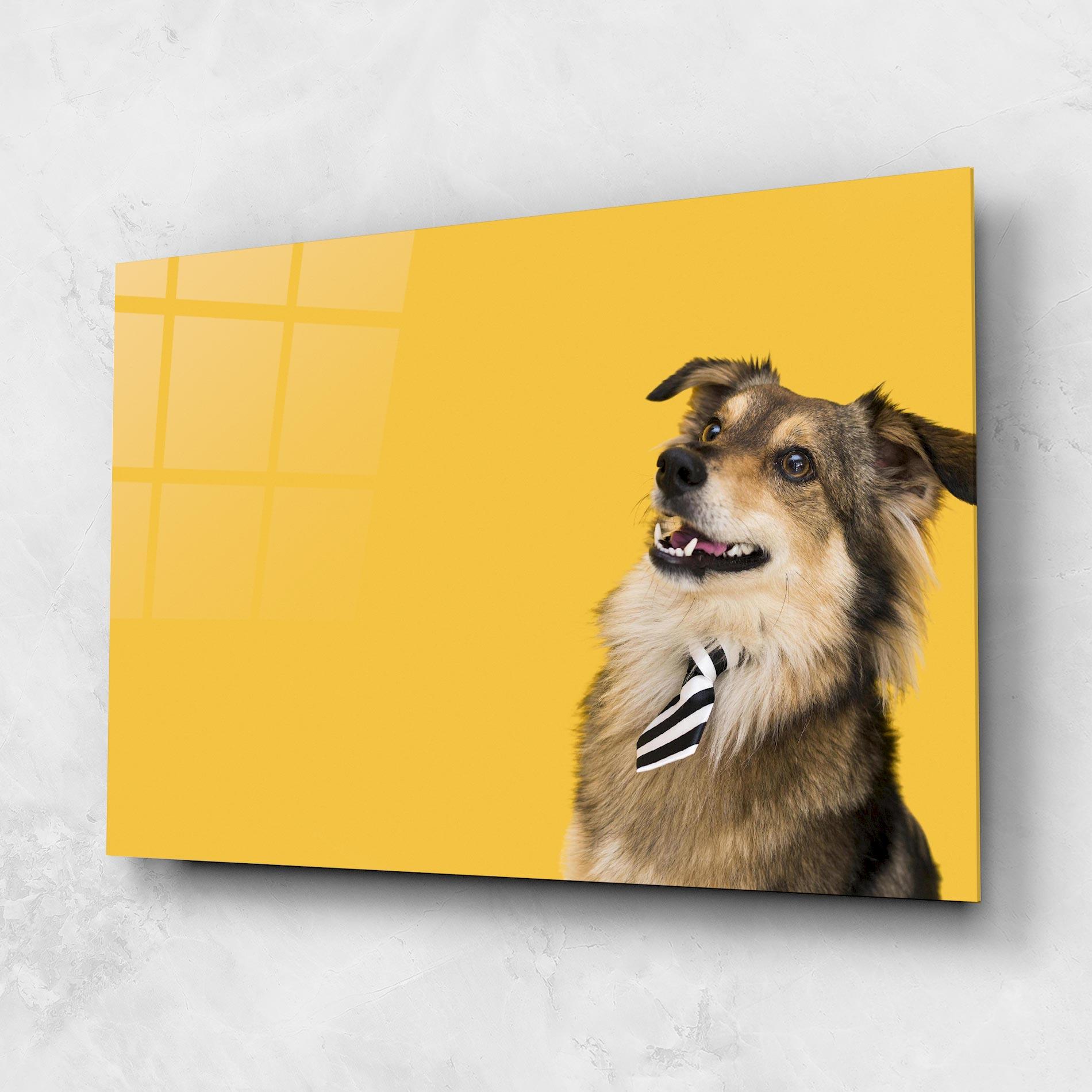 Glasbild Cute Smiling Dog mockup 1