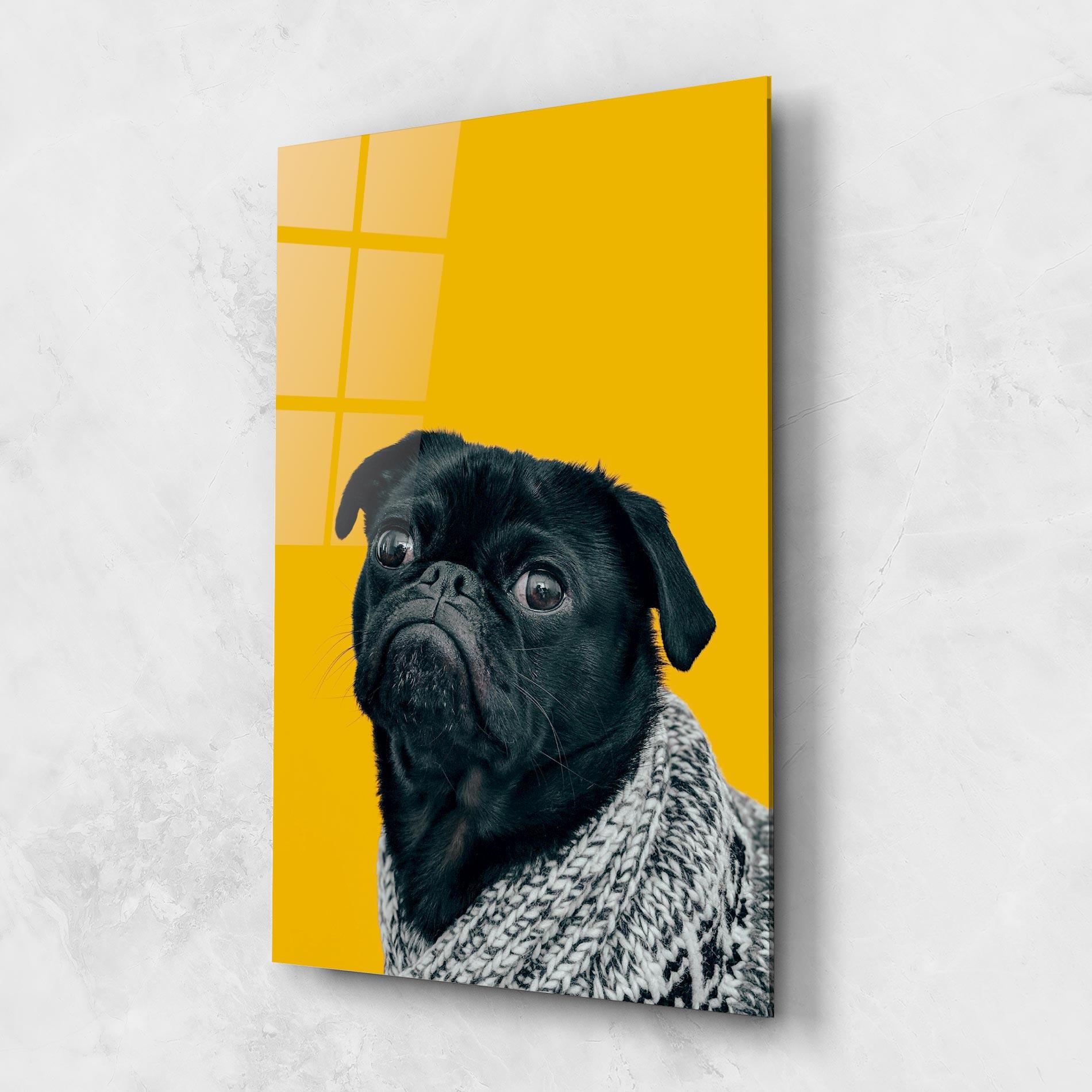 Glasbild Black Pug mockup 1