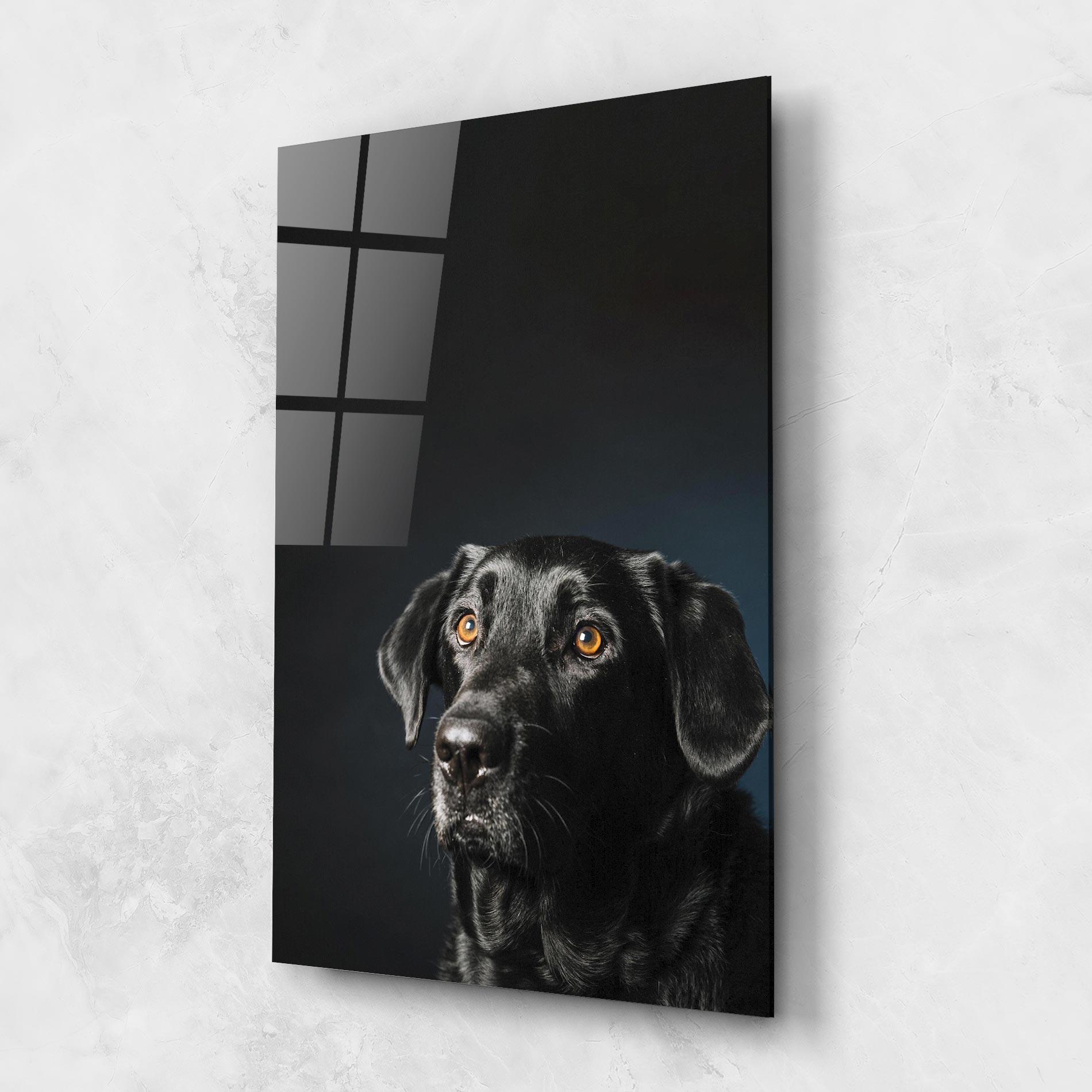 Glasbild Brown Eyes Dog mockup 1