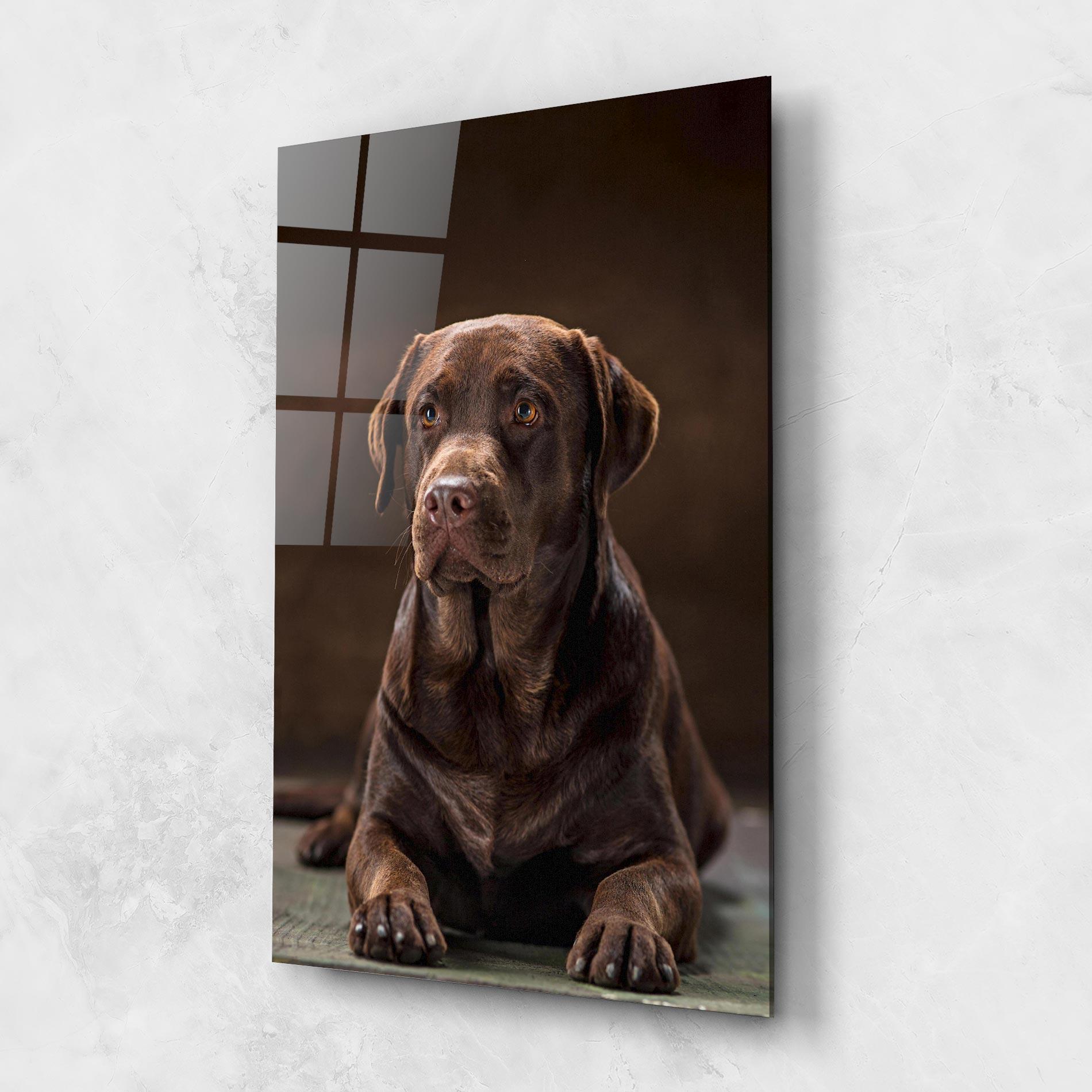 Glasbild Brown Labrador Dog mockup 1
