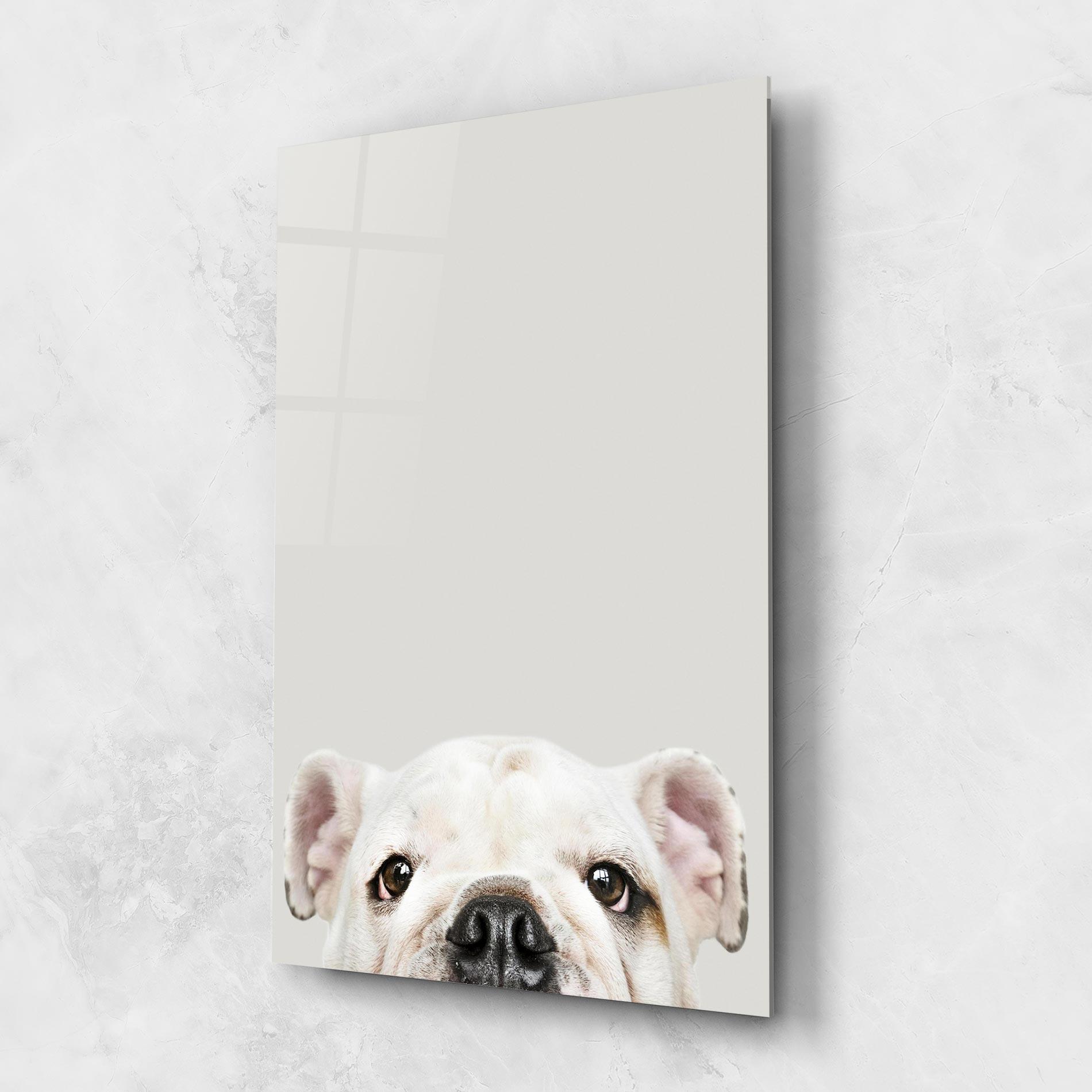 Glasbild Bulldog Eyes mockup 1